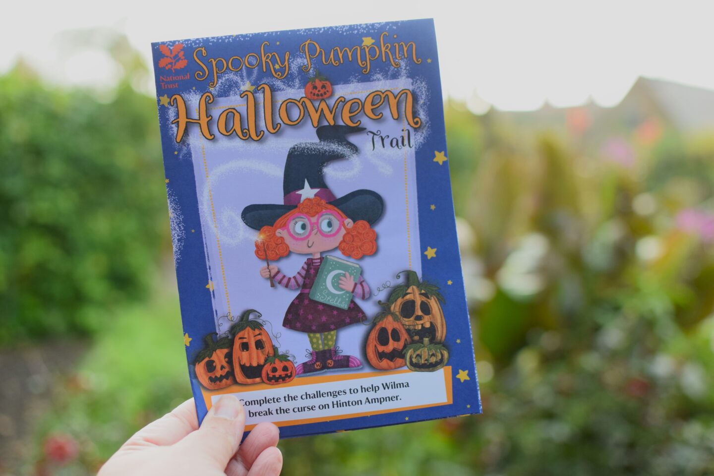 National Trust Hinton Ampner Pumpkin Trail