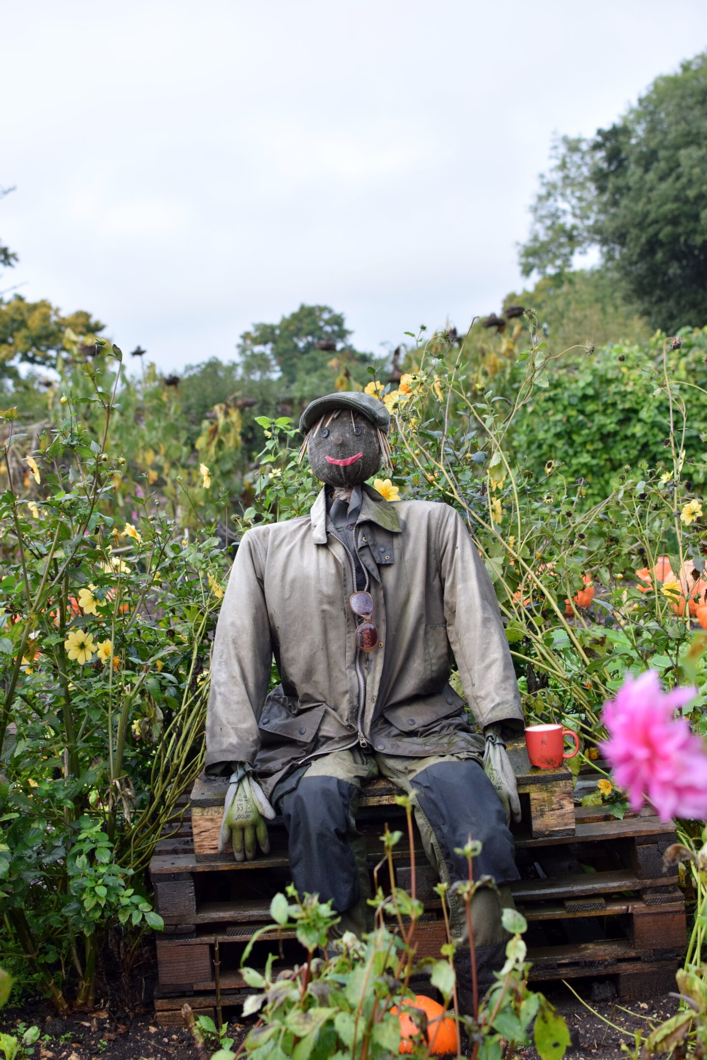 National Trust Hinton Ampner - scarecrow in the walled garden