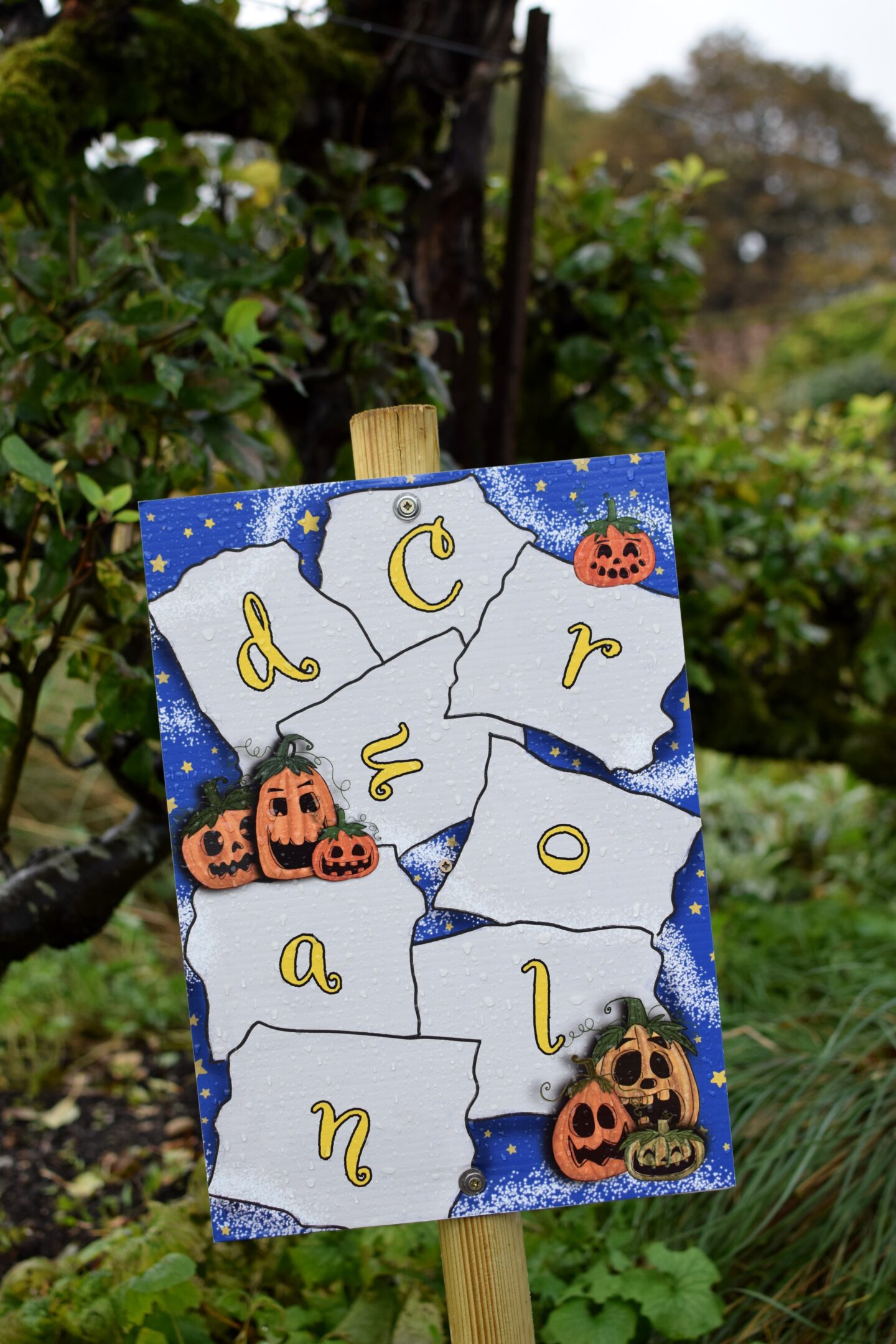 National Trust Hinton Ampner - pumpkin trail puzzle