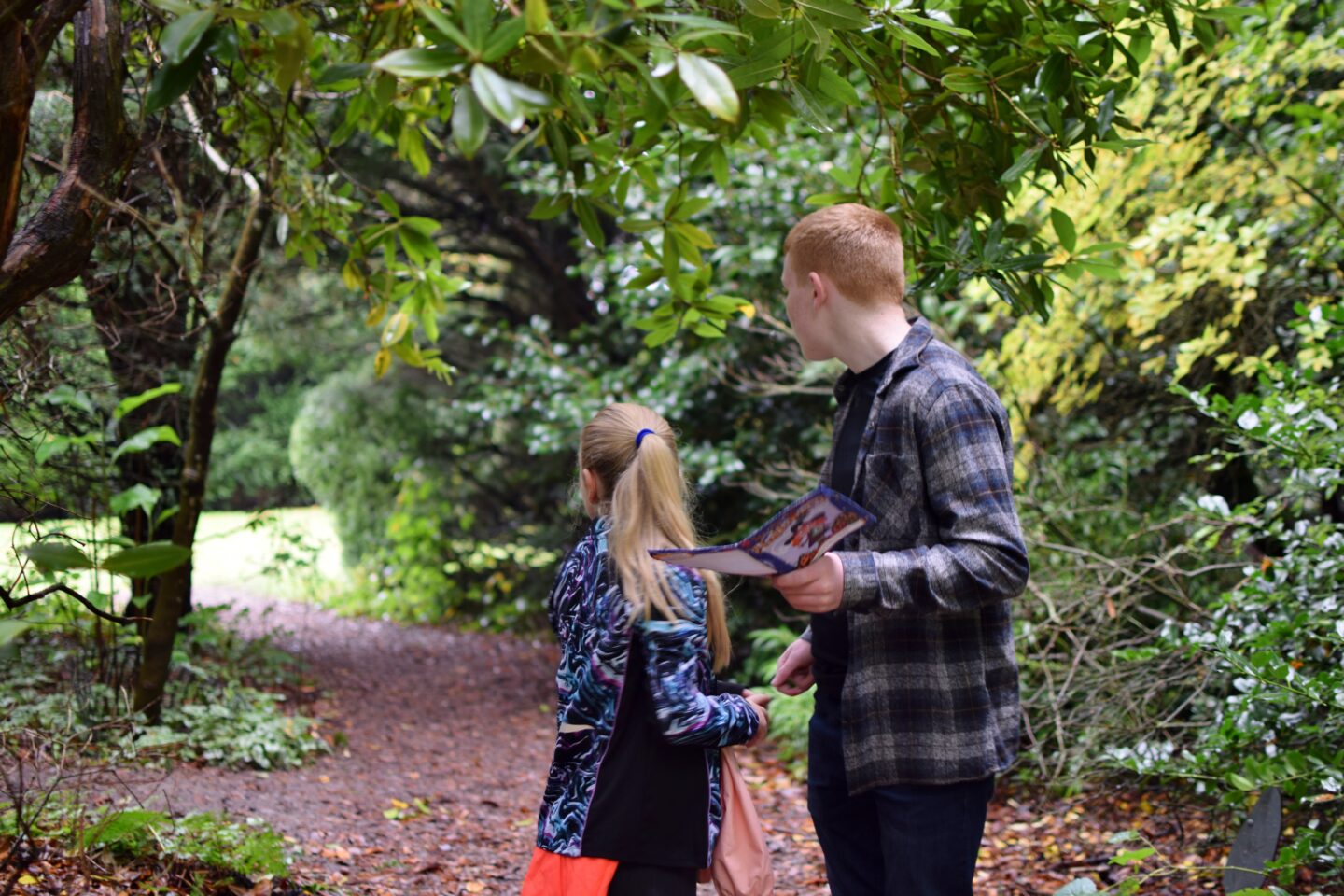 National Trust Hinton Ampner - hunting out numbered pumpkins in the woodland