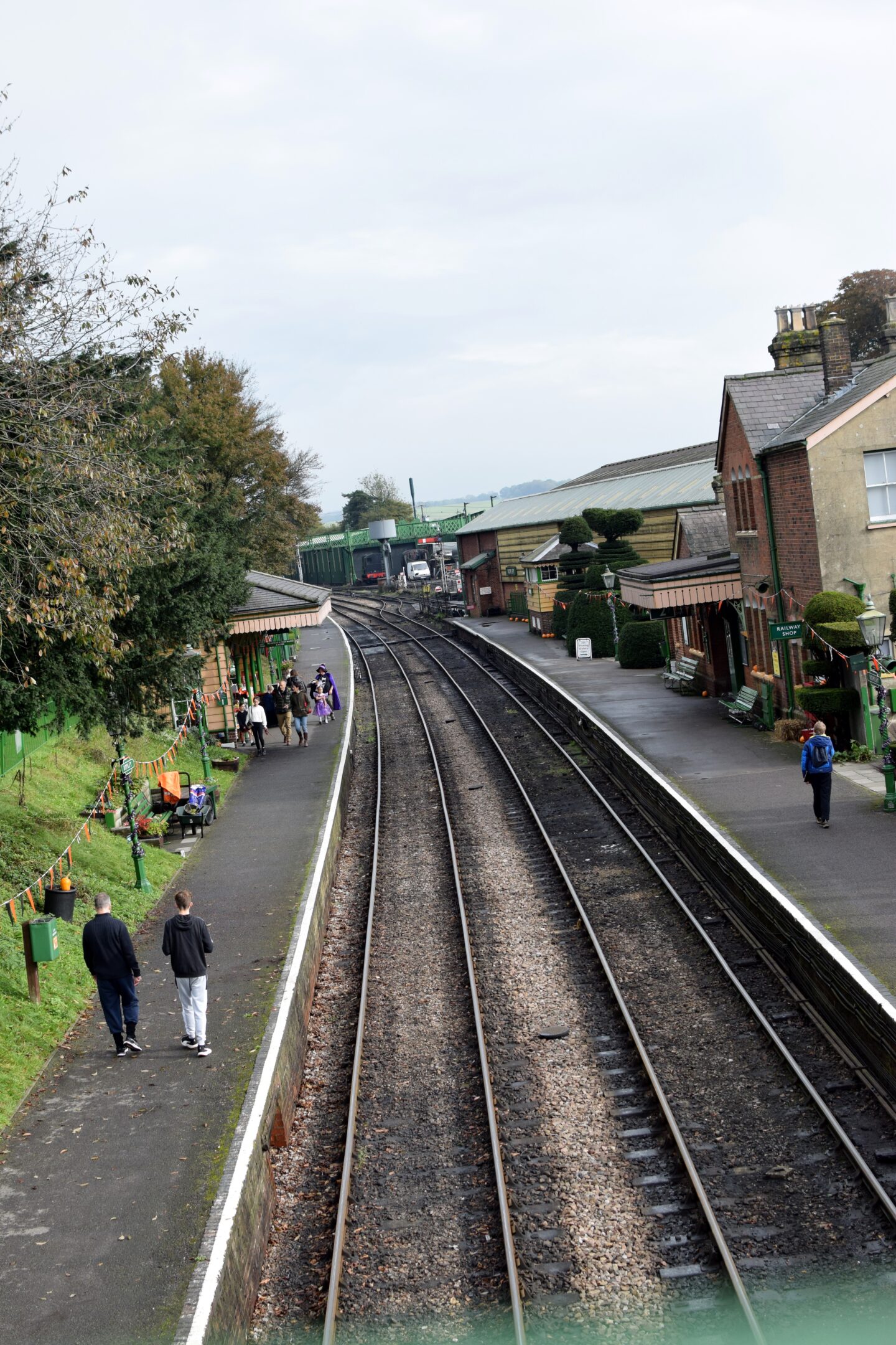Ropley Station from the bridge