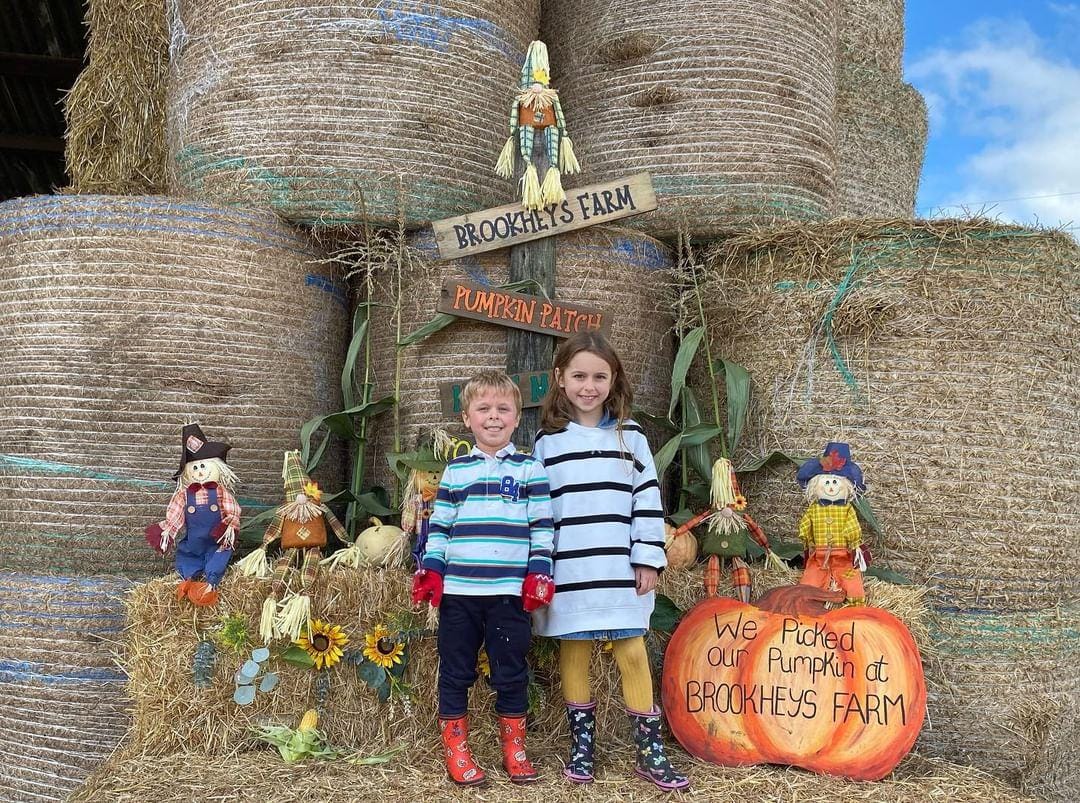 Brookheys Farm pumpkin picking