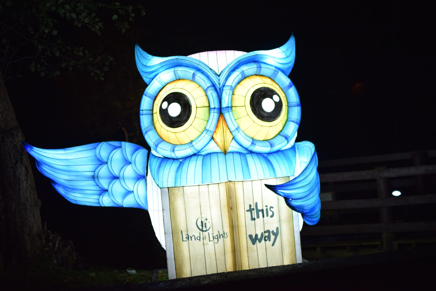 Land of Lights - Warrington - big owl lantern showing the way