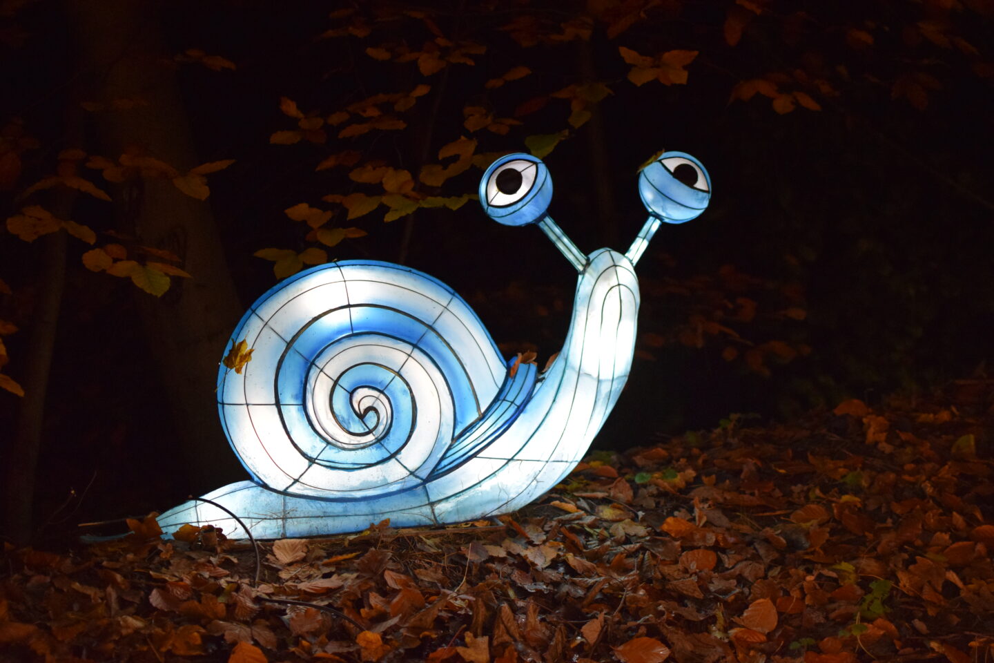 Land of Lights Festival - Warrington - sad snail lantern