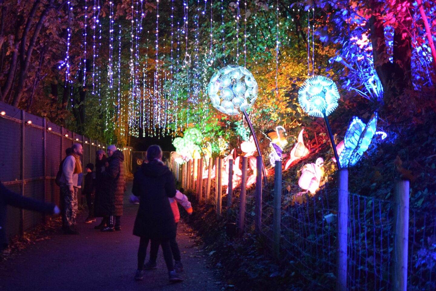 Land of Lights Festival - Warrington - fairy themed corridor of lights