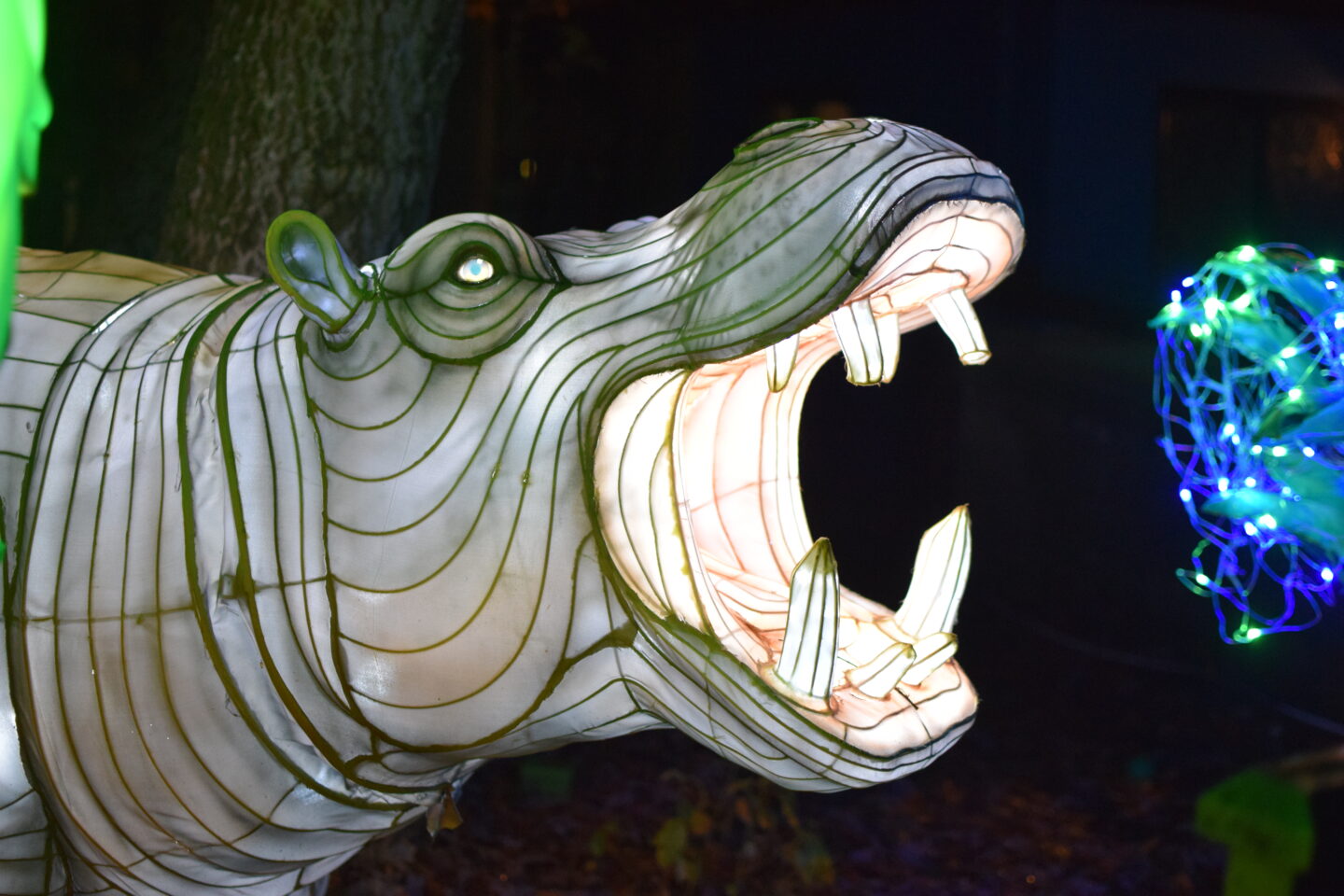 Hippo lantern at Land of Lights