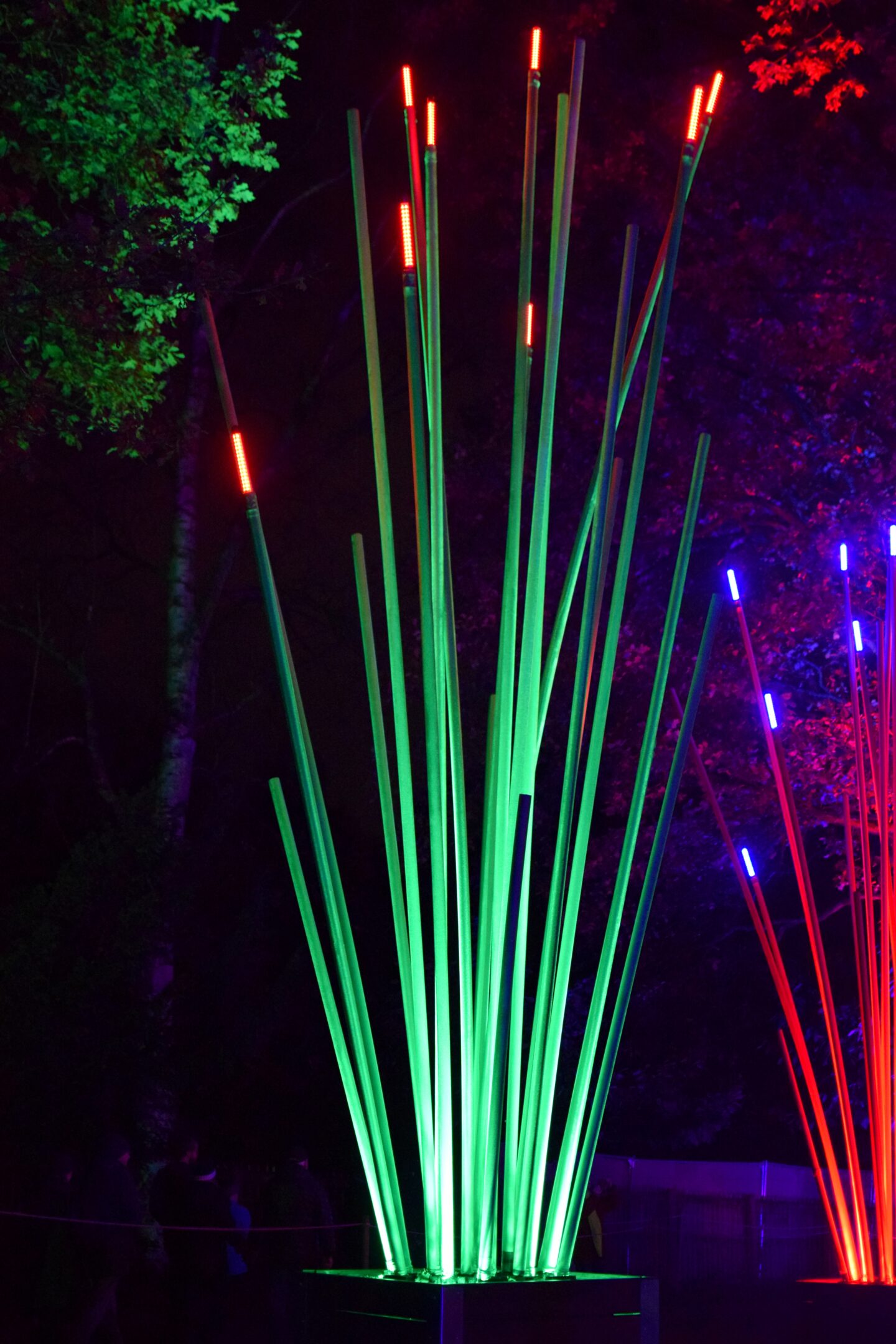 Christmas at Dunham Massey 2023 - lights