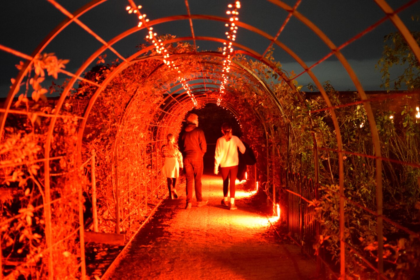 Christmas at Dunham Massey 2023 - light tunnel