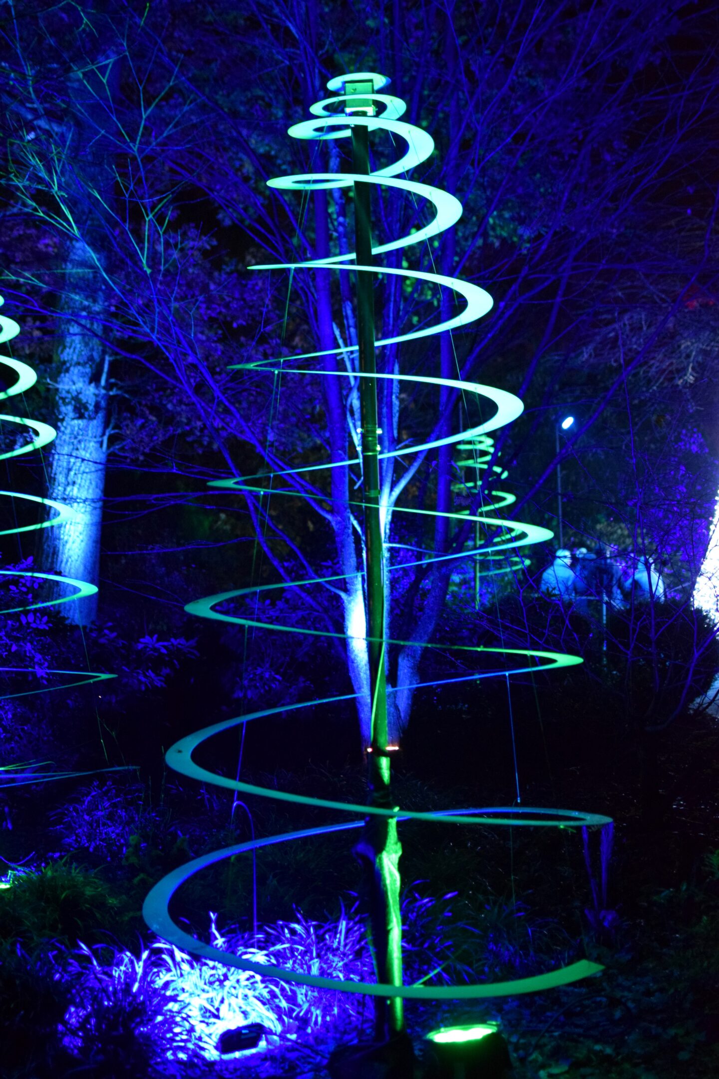 Christmas at Dunham Massey 2023 - spiral Christmas tree