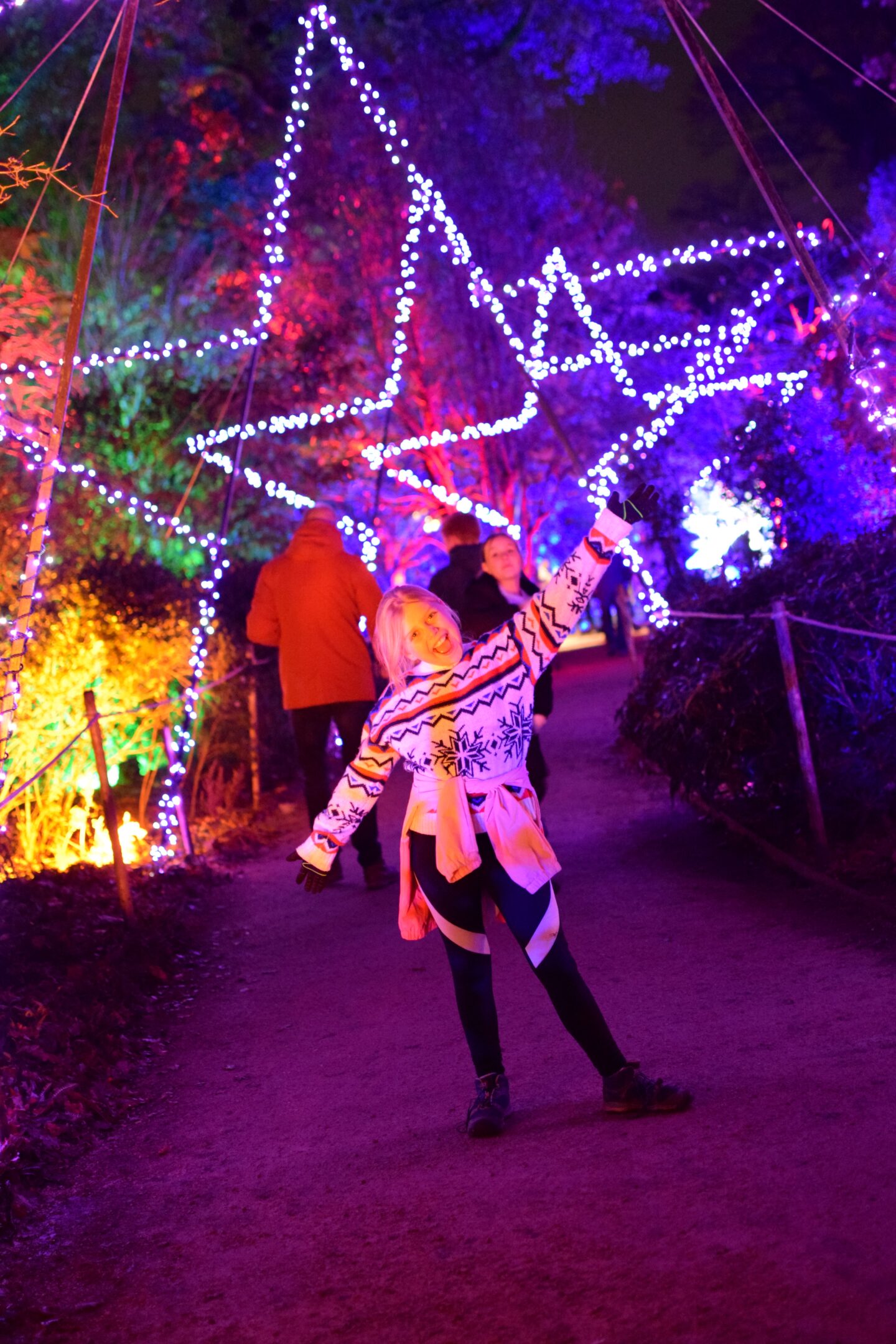 Christmas at Dunham Massey 2023 - star tunnel