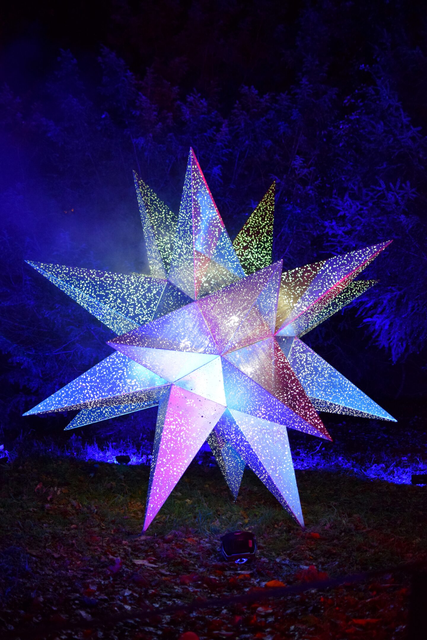 Christmas at Dunham Massey 2023 - star installation