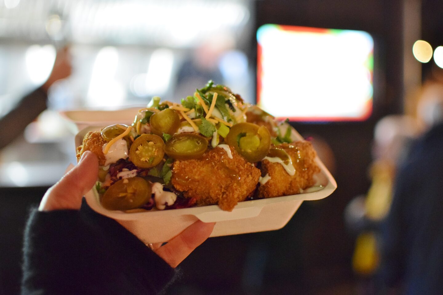 Christmas at Dunham Massey 2023 - loaded fries