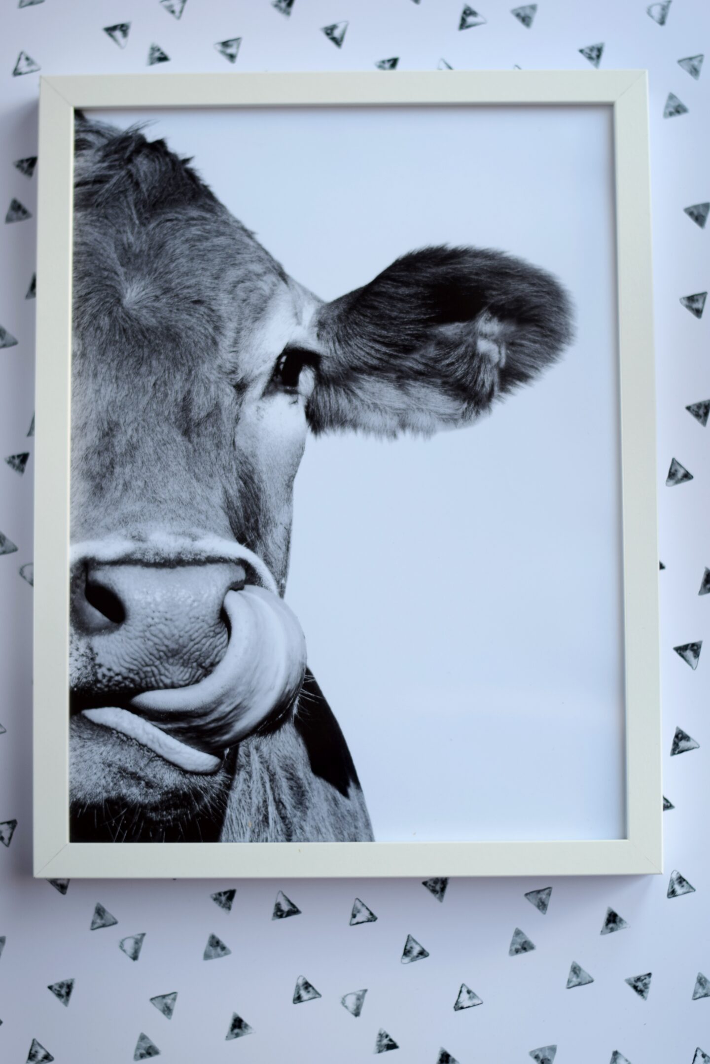 My-picture.co.uk - framed print of a cow
