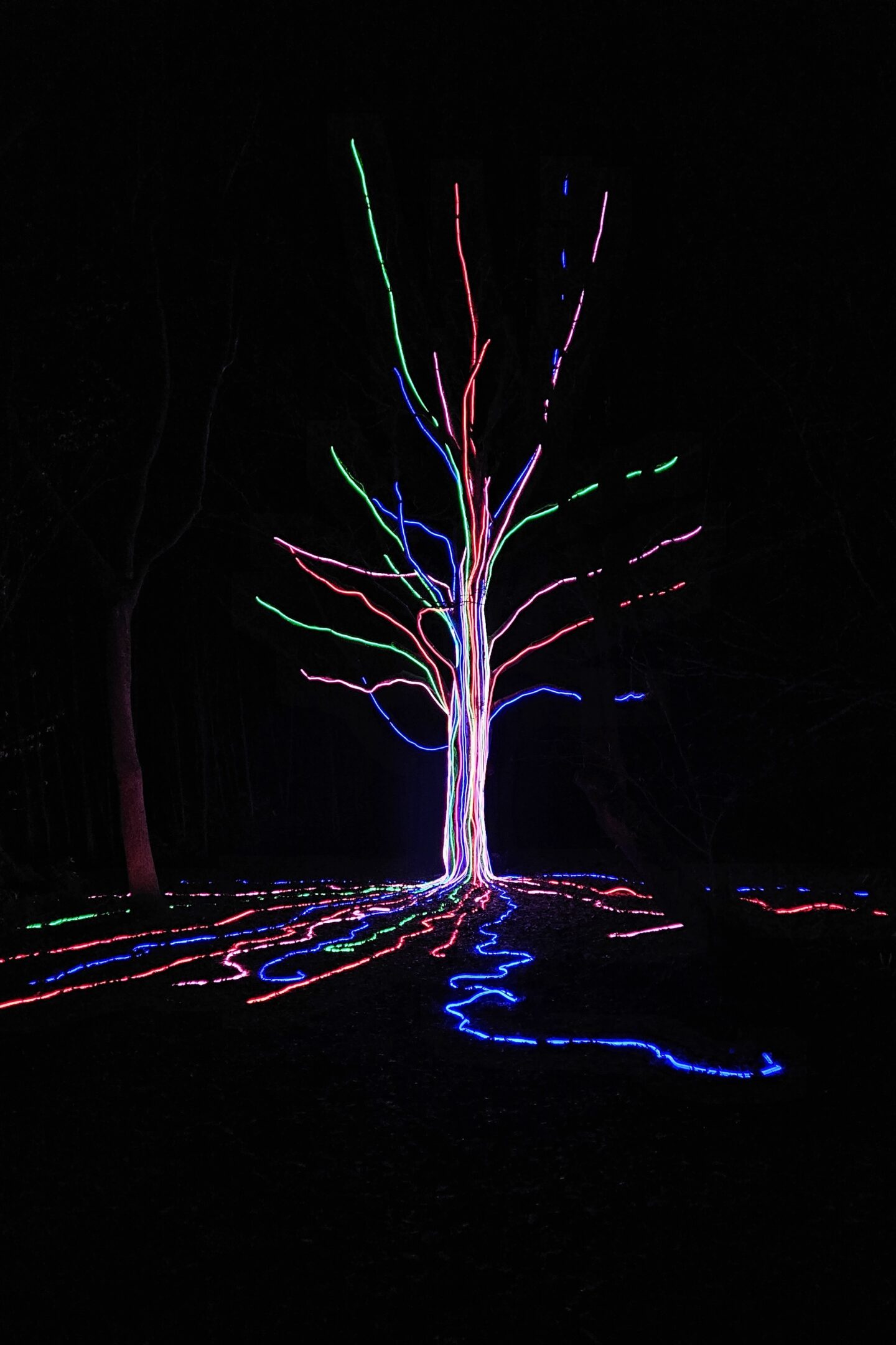 Christmas at Heaton Park - neon tree