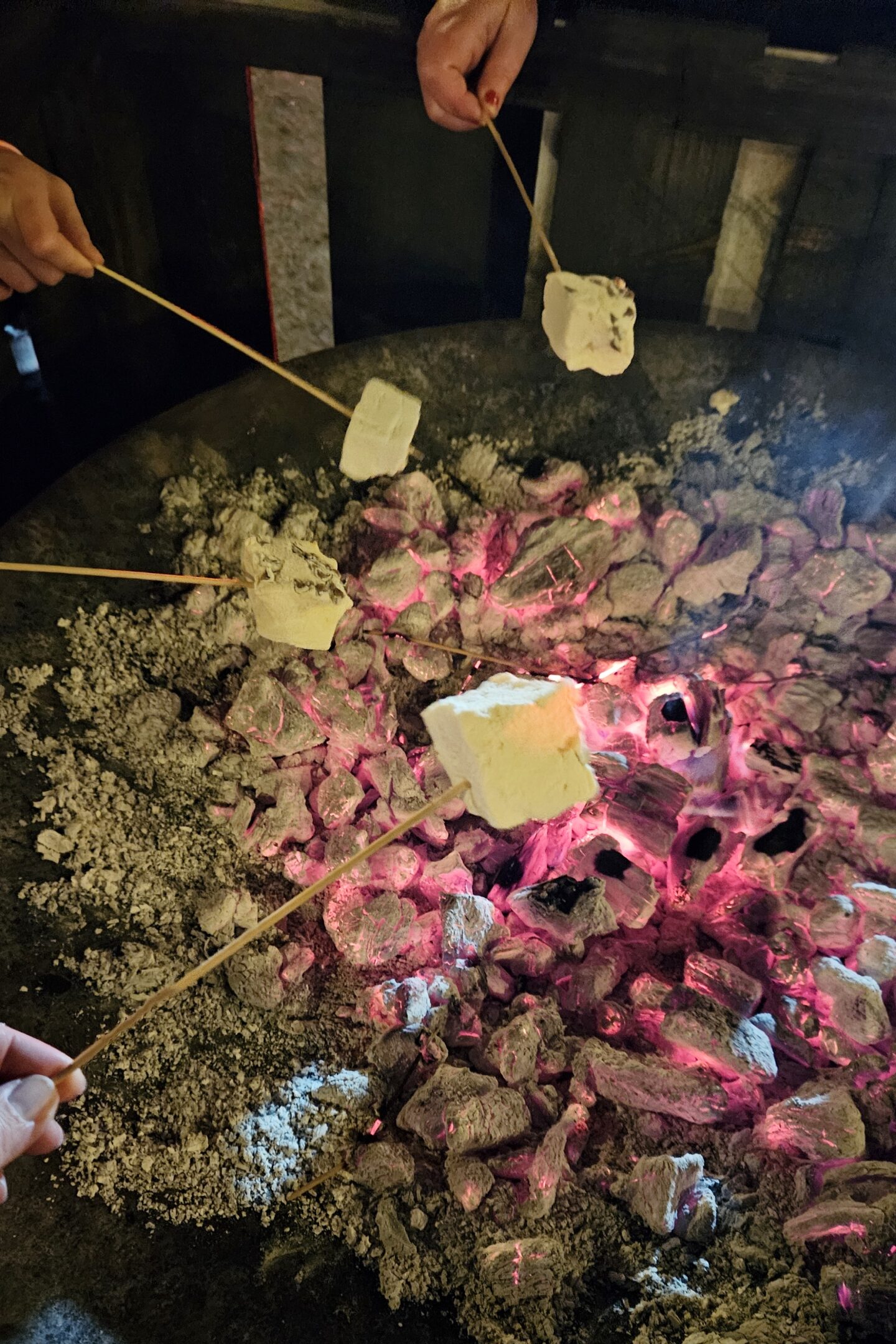 Christmas at Heaton Park - fire pits for marshmallows