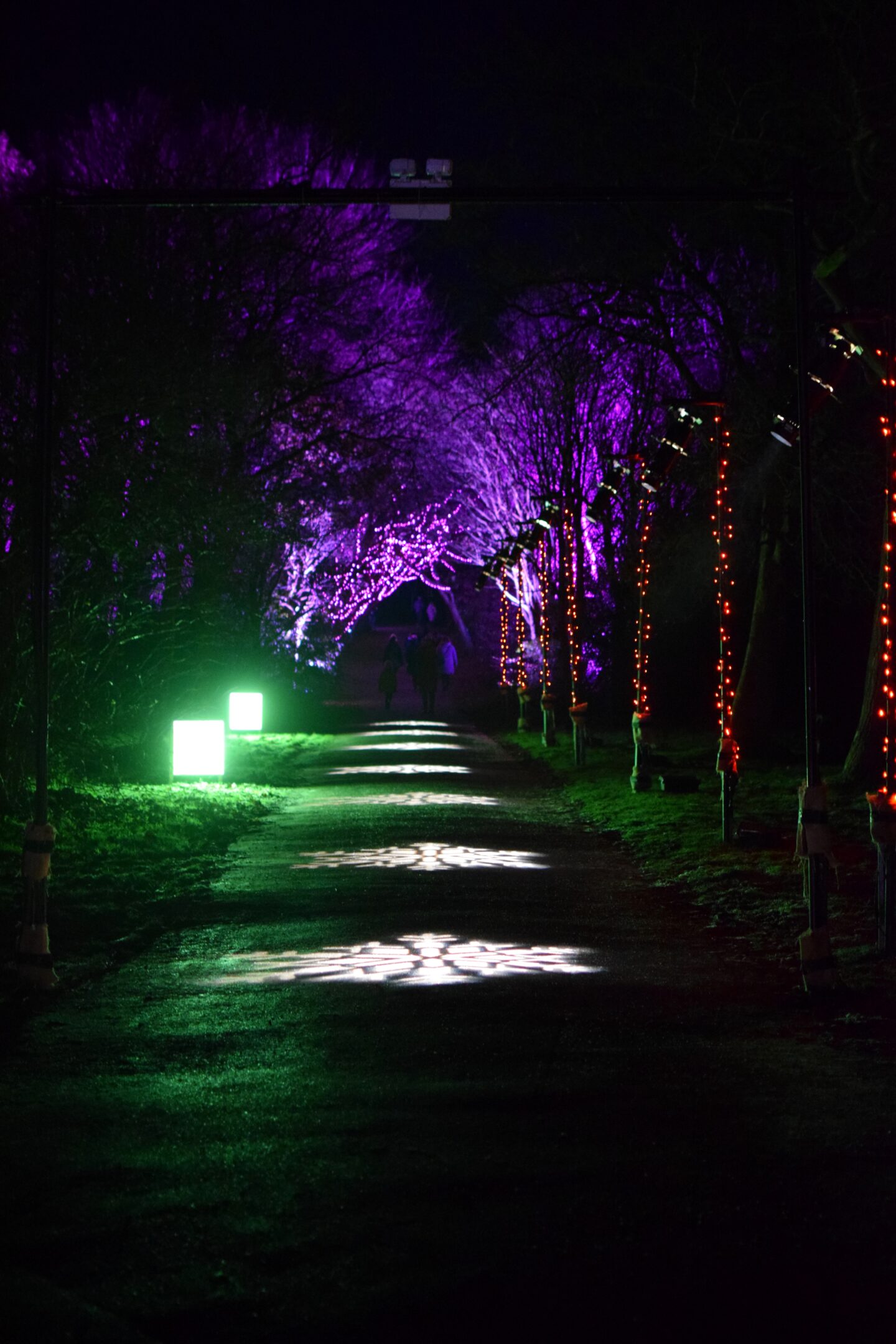 Christmas at Heaton Park - Path up to Pink Blossom