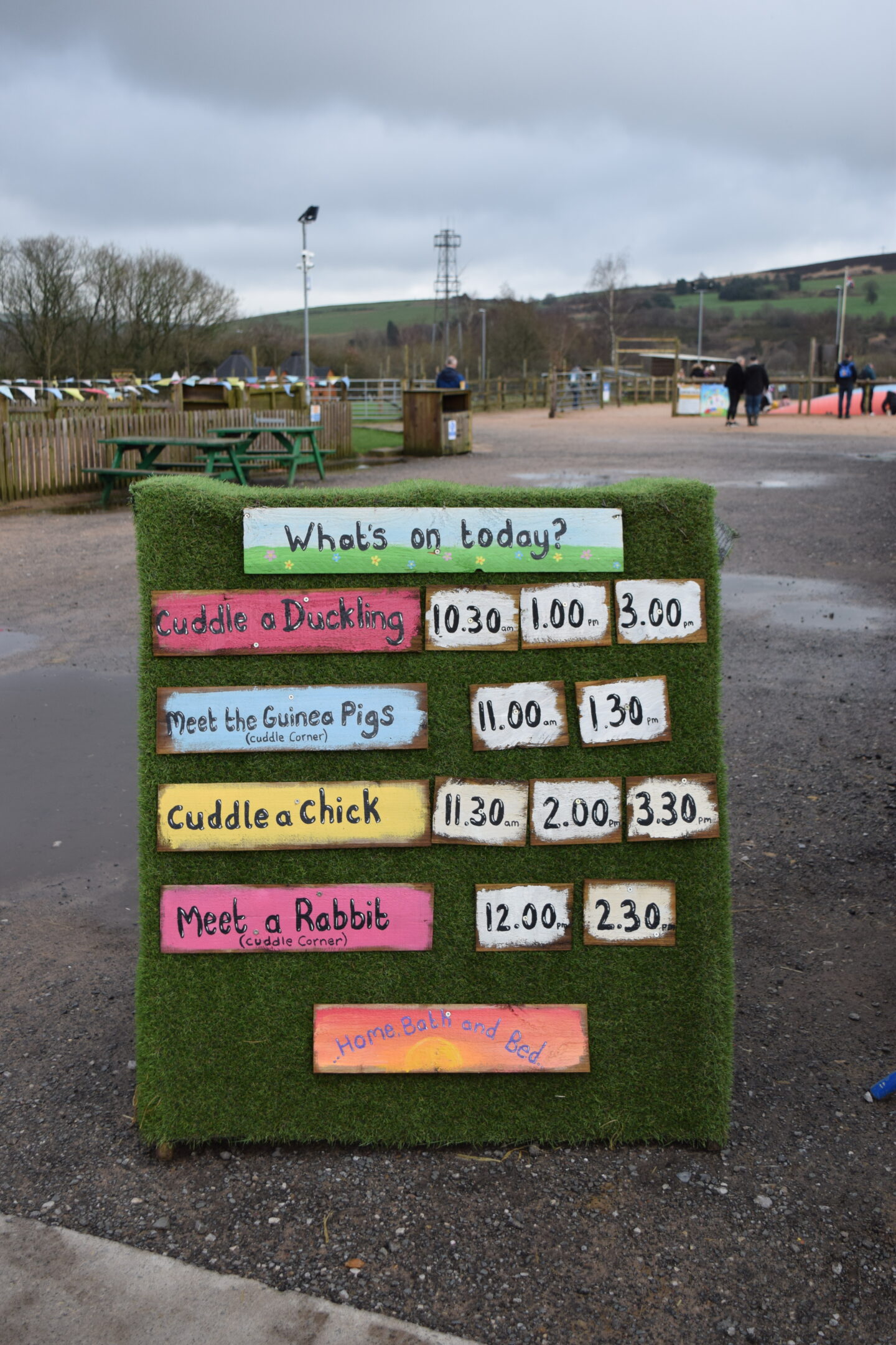 Cockfields Farm timetable - what's on today?