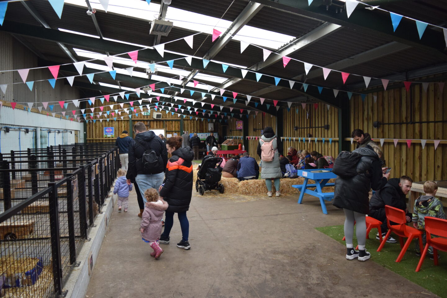 Small animal barn at Cockfields Farm is home to rabbits, chicks and ducklings