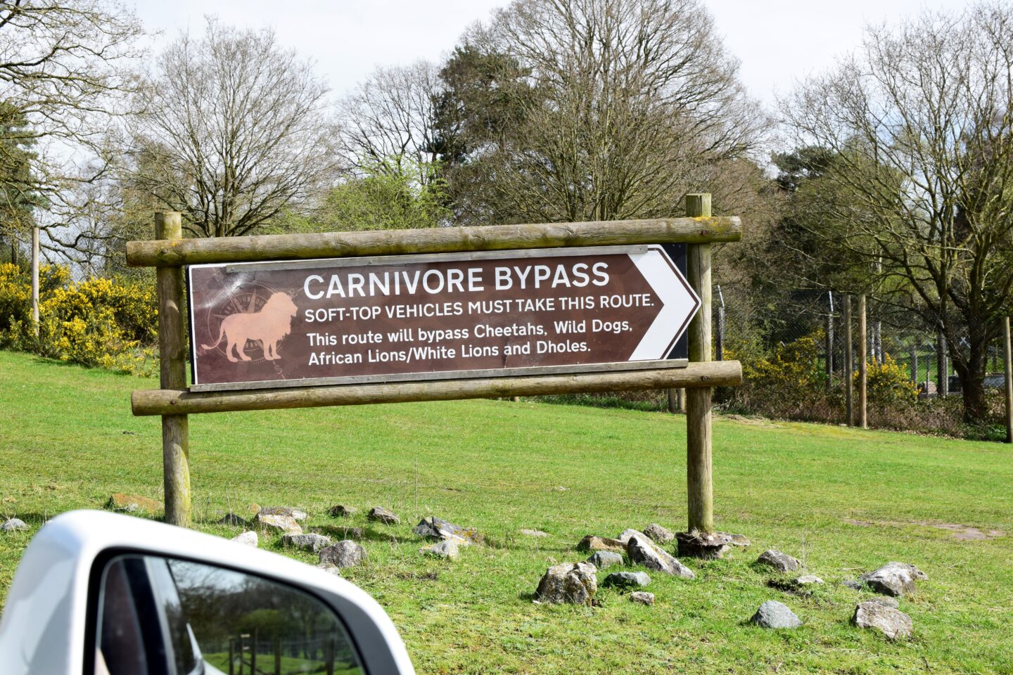 Carnivore By pass at West Midlands Safari Park