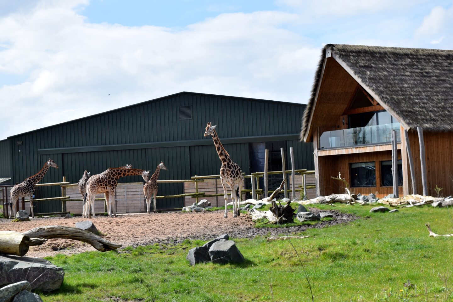 Luxury lodges at West Midlands Safari Park