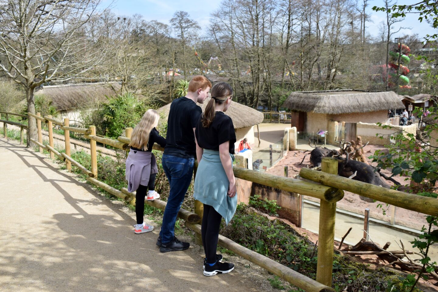 West Midlands Safari Park with teens