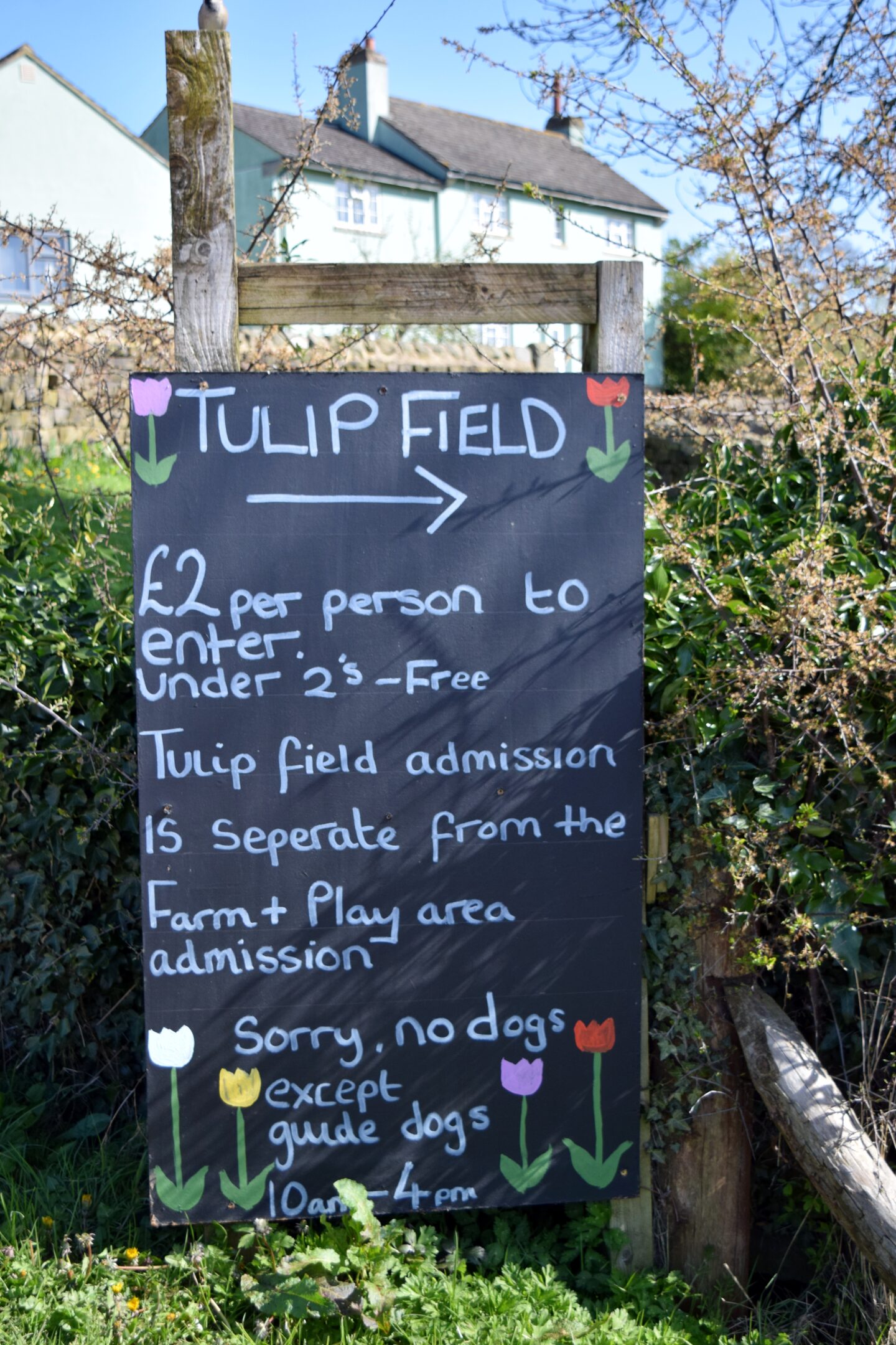 Birchfield Farm tulip field rules