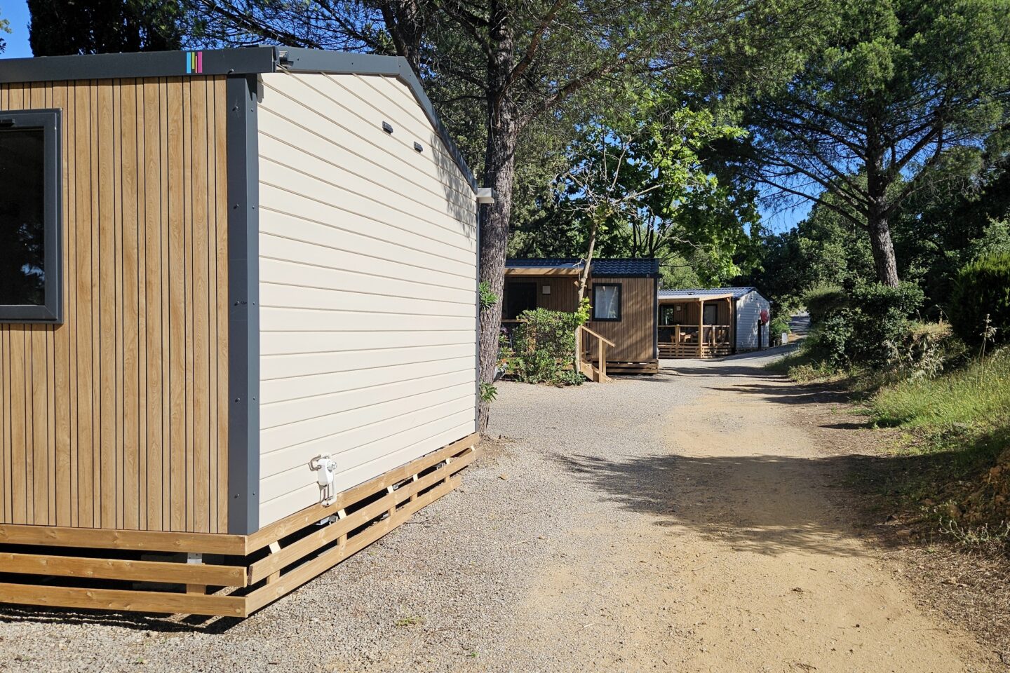 woodland campsite