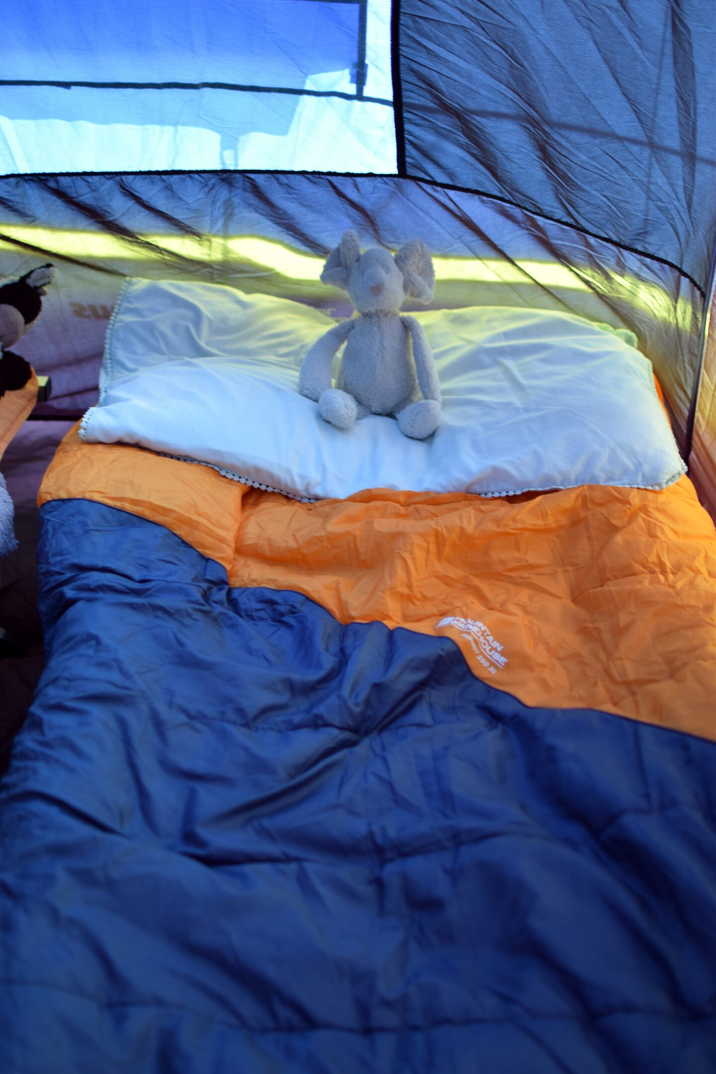 Sleeping bag for kids on a campbed