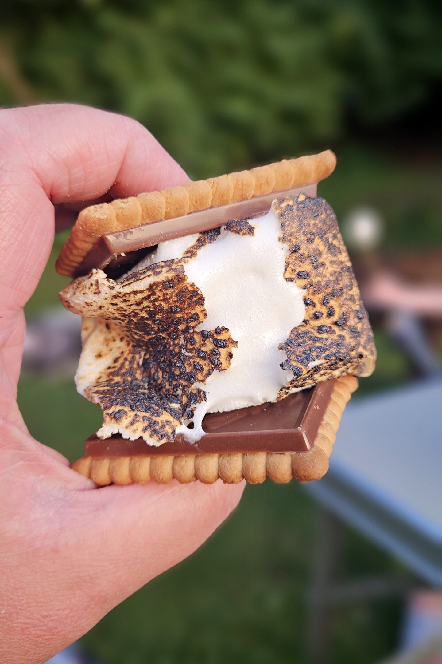 campfire s'mores