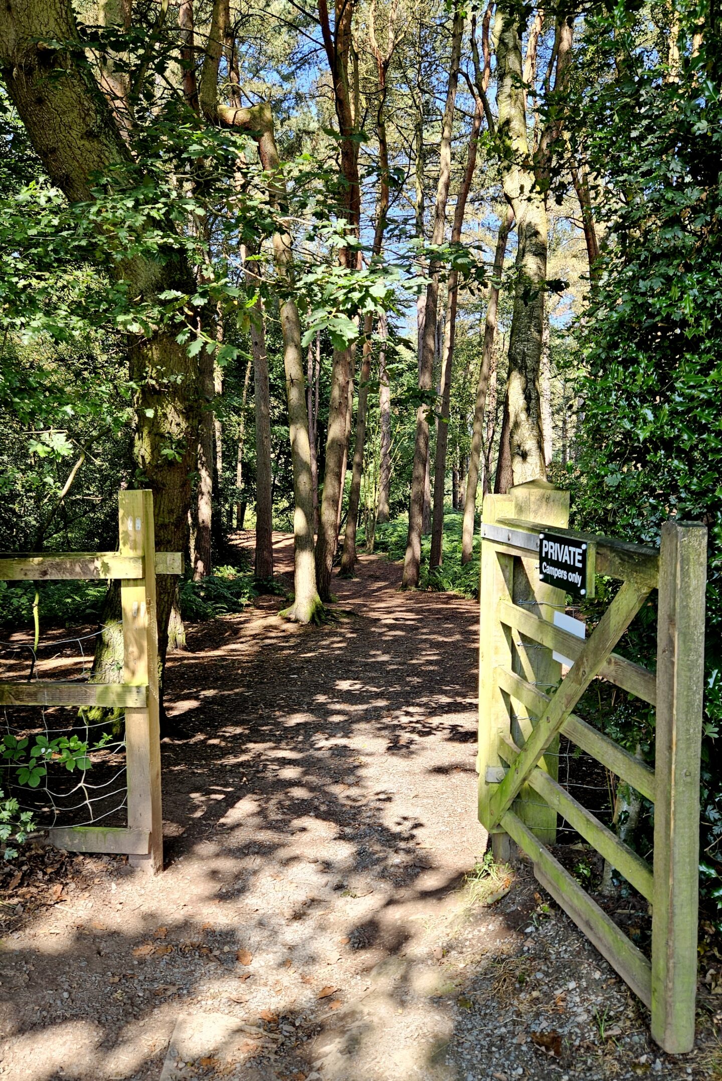 Direct access to Delamere Forest from the campsite