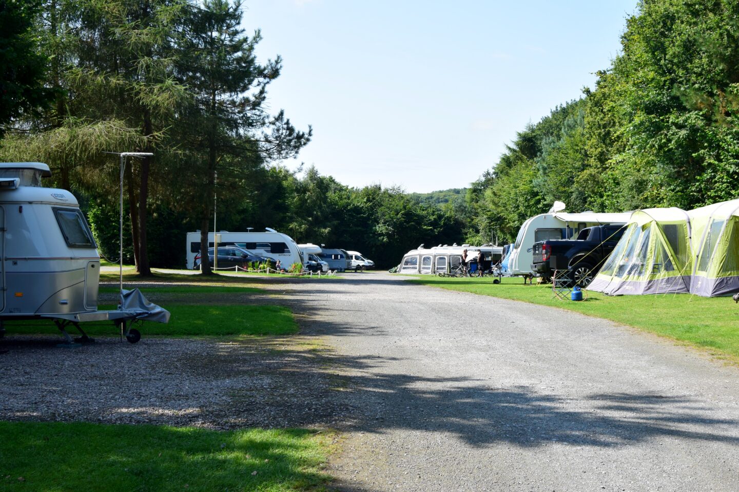 Delamere Forest Camping and Caravanning Site - gravel road through the campsite