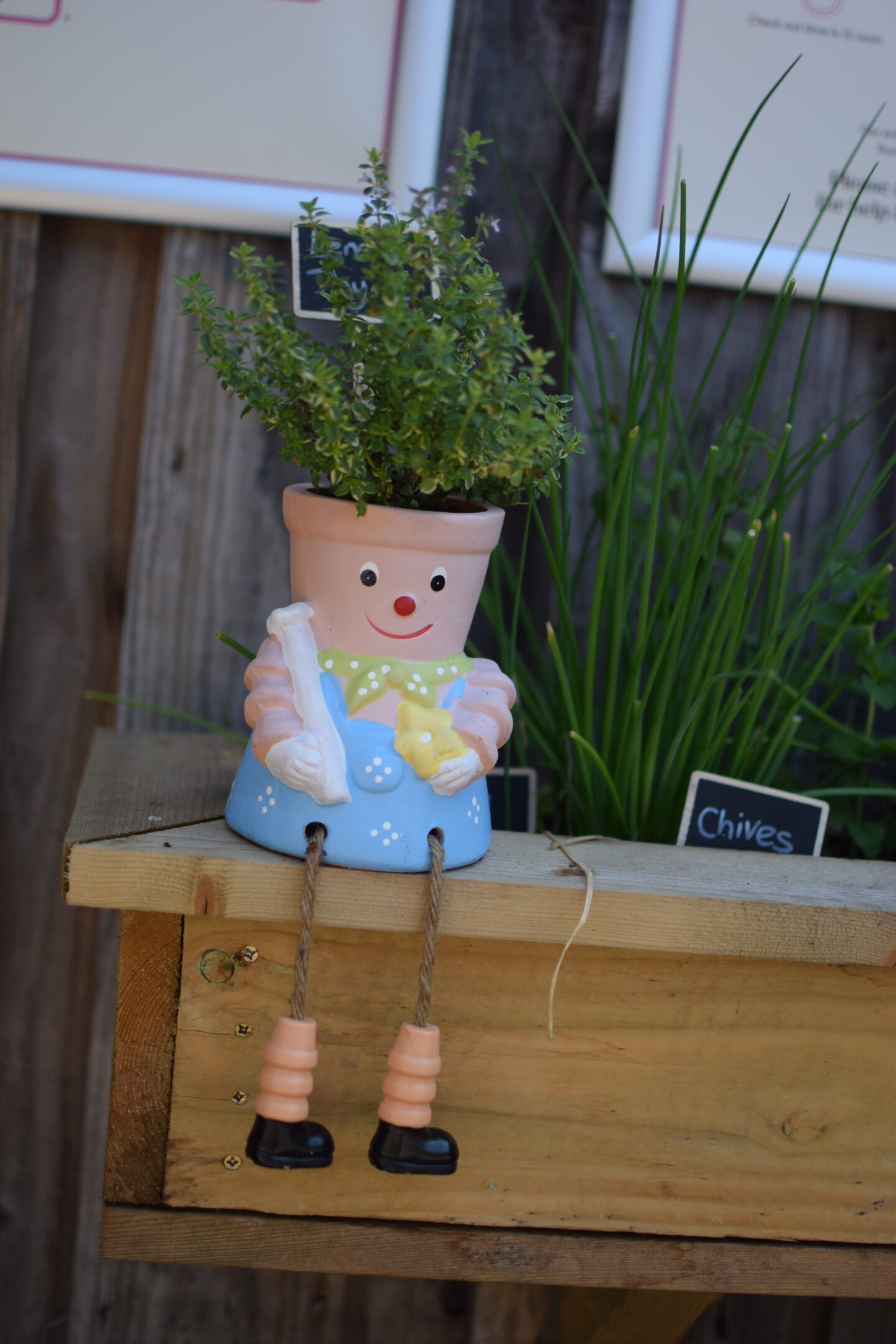 Delamere Forest campsite herb garden