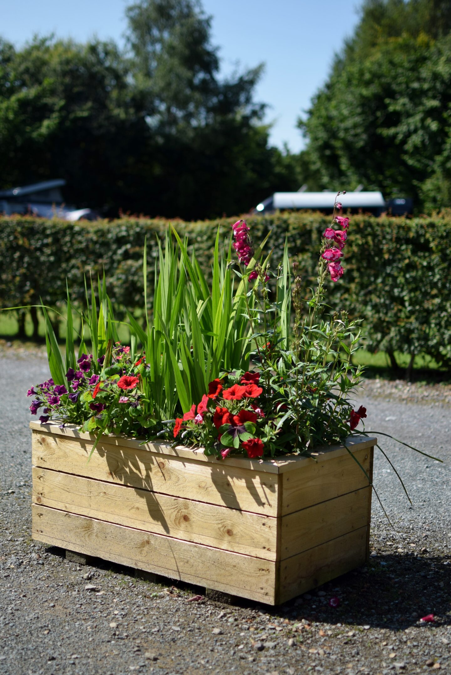 flower boxes at Delamere Forest Camping and Caravanning Club Site