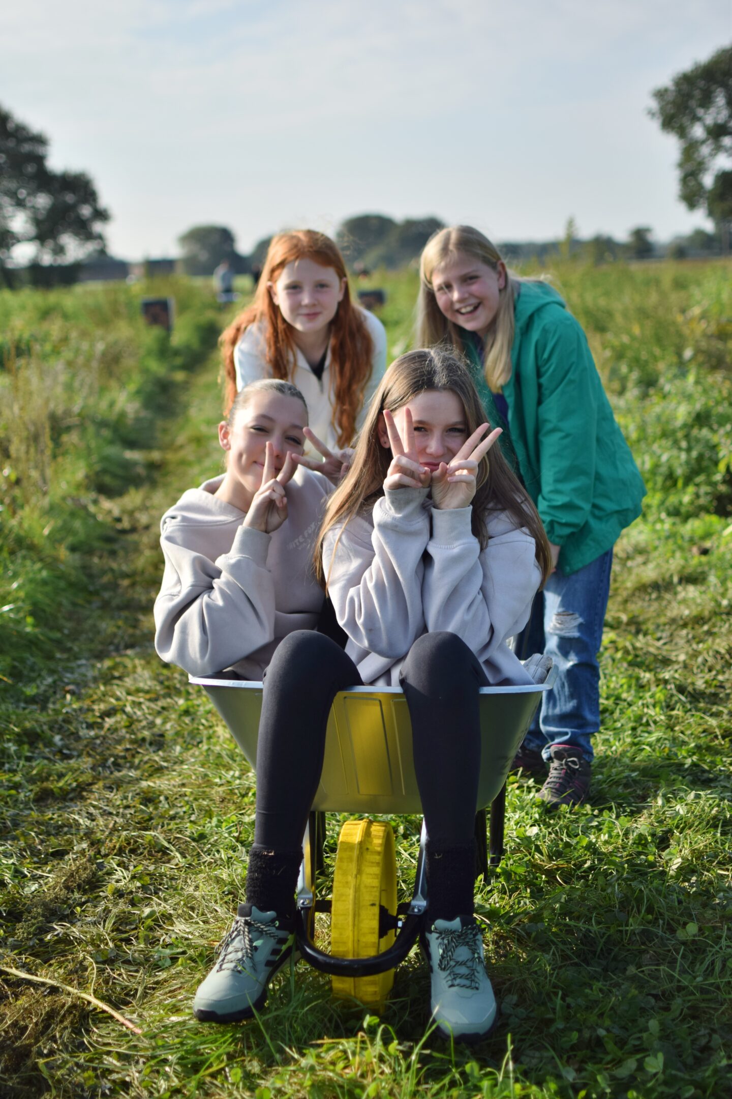 A wheelbarrow full of children