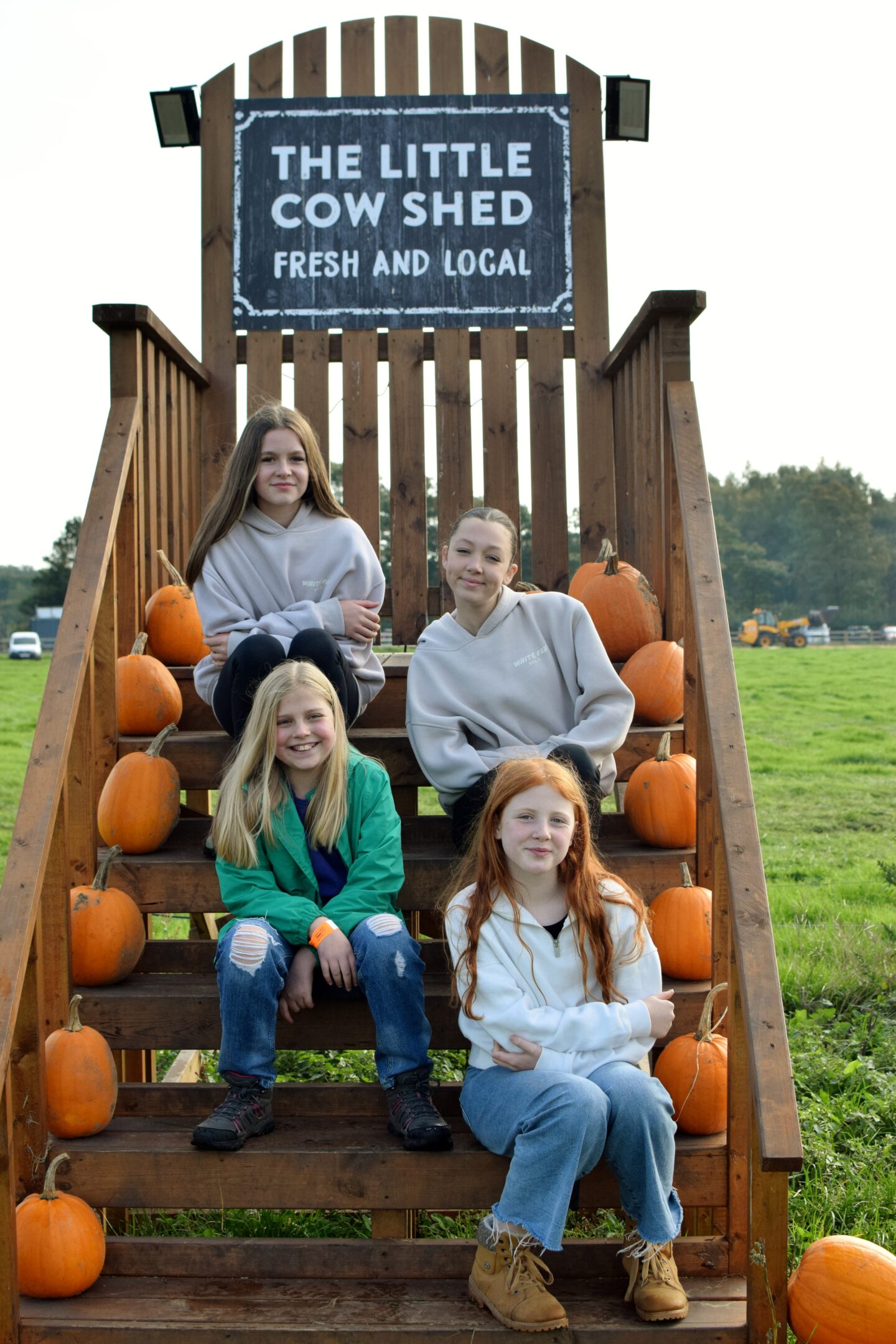 The Creepy Little Cow Shed Pumpkin Patch - pumpkin steps