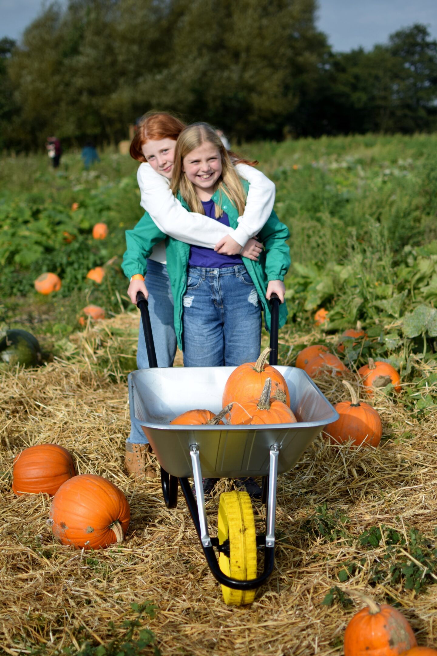 Millie and Amy with a wheelbarrow of pumpkins