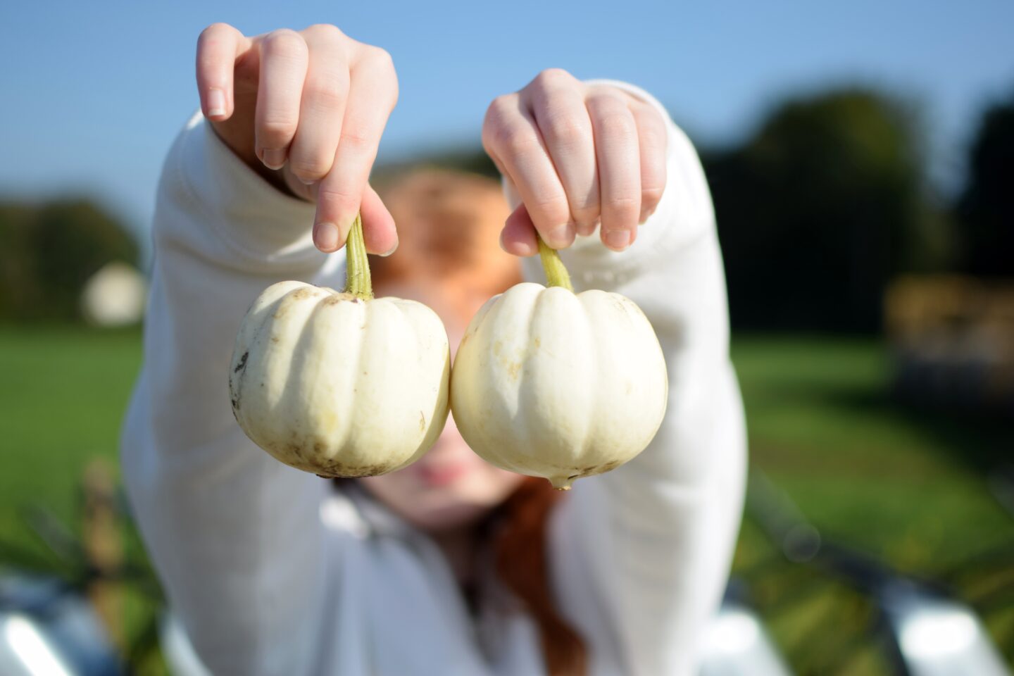 A pair of tiny white pumpkins