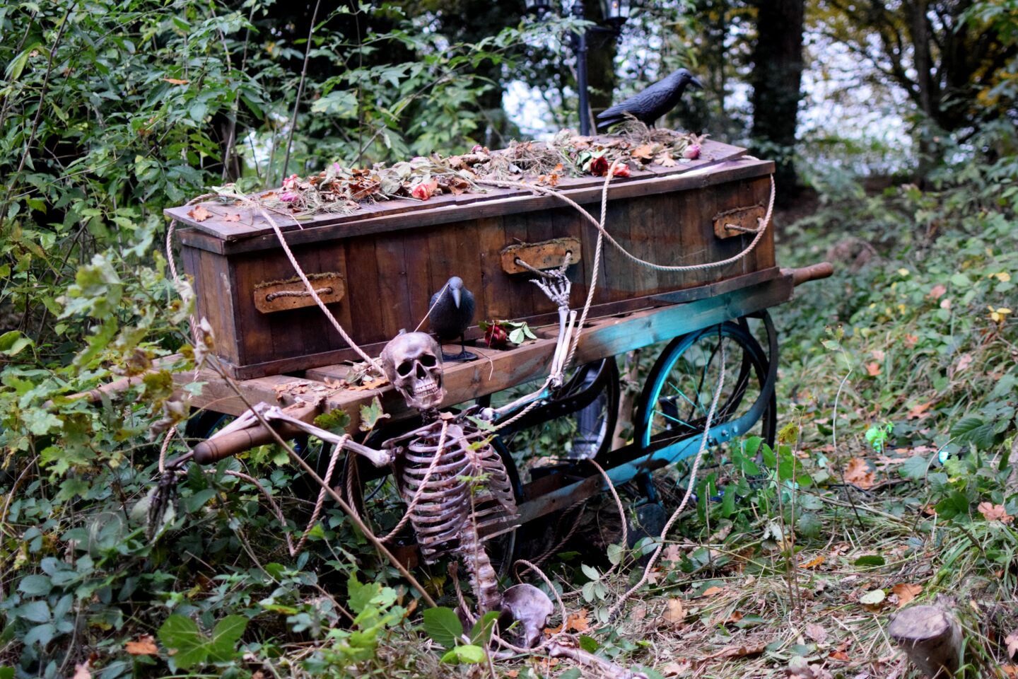 Halloween at Quarry Bank - Halloween trail