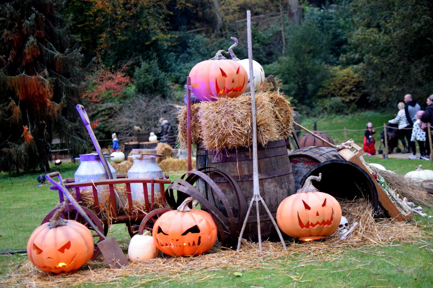 Angry pumpkin display at Quarry Bank