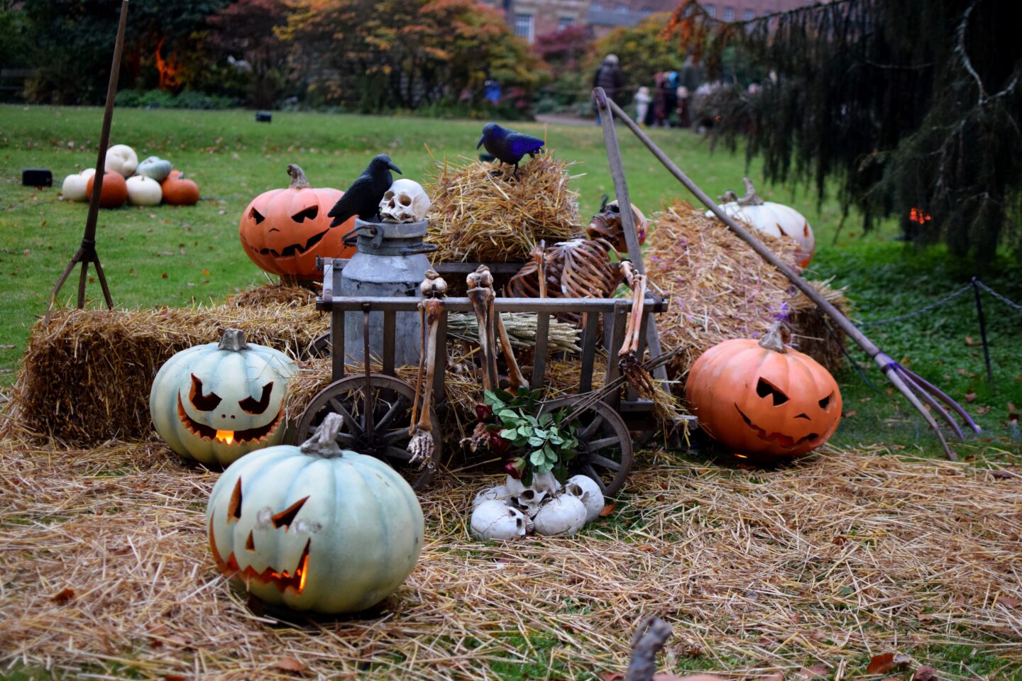Pumpkins, skeletons and crows
