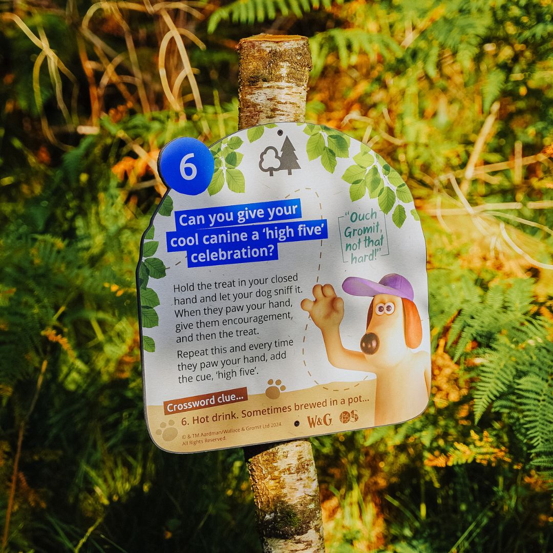 High five trail sign