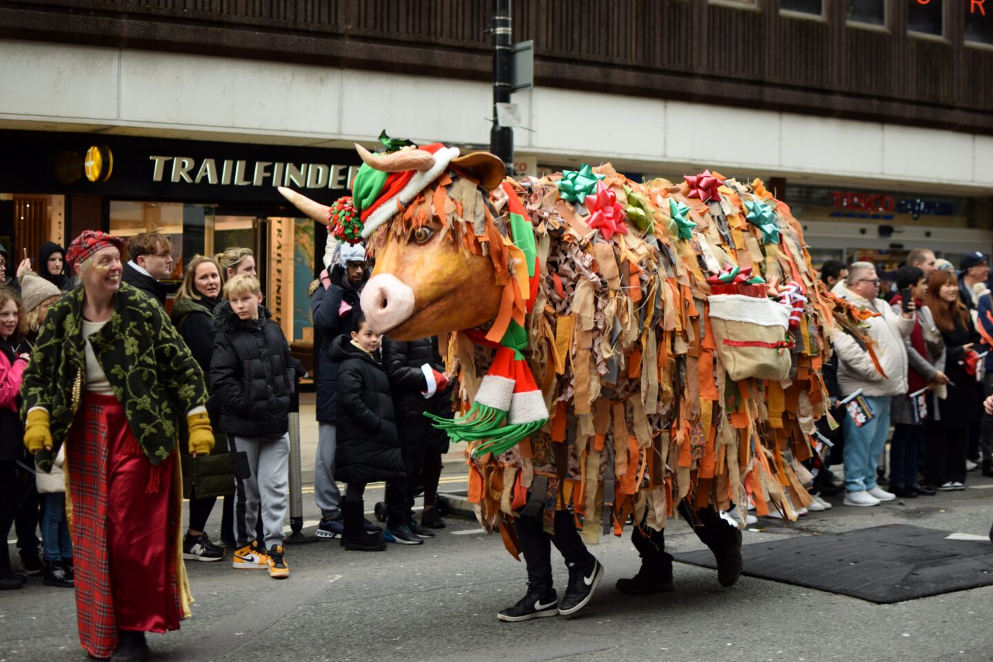 Christmas Parade Cow!