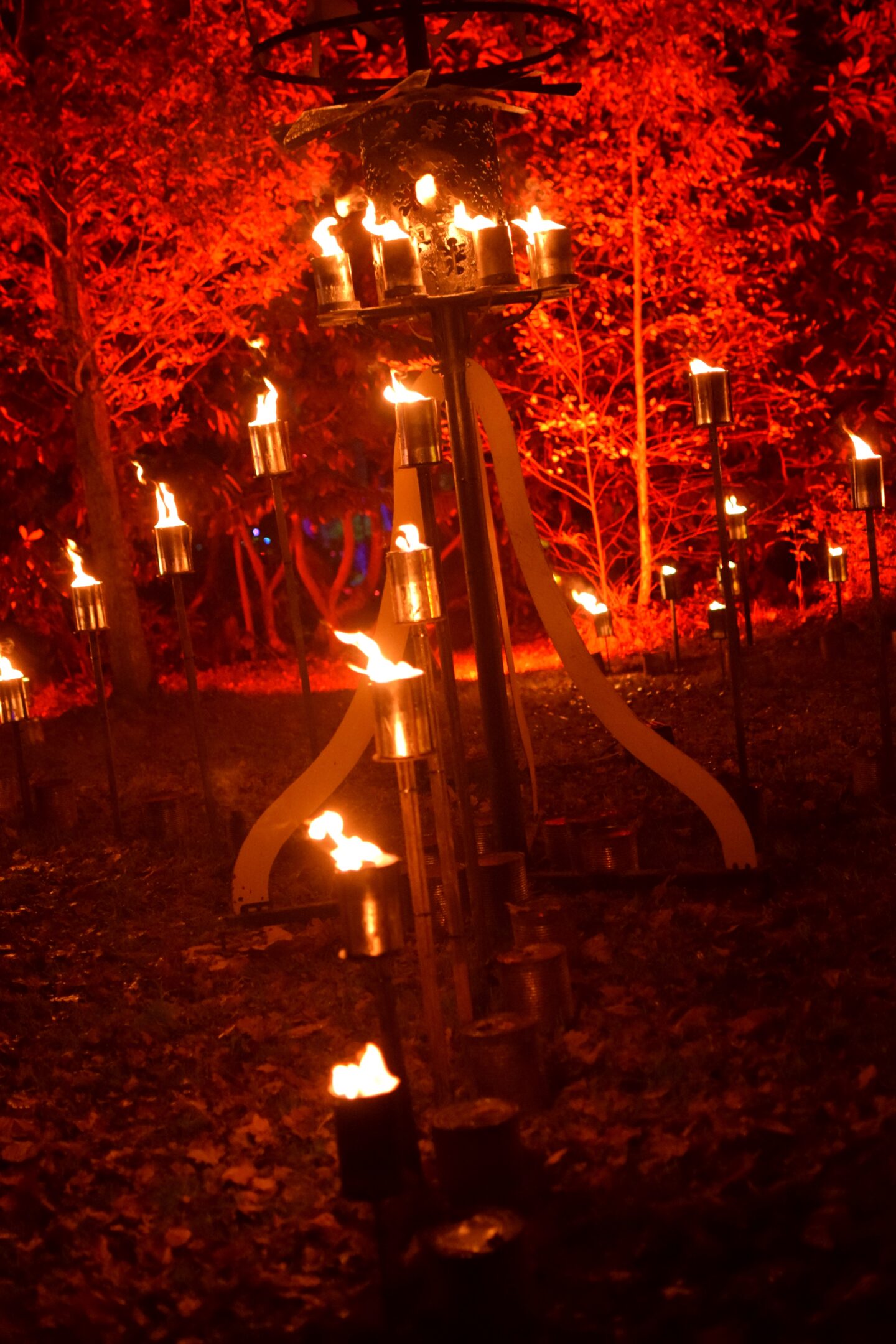 fire garden