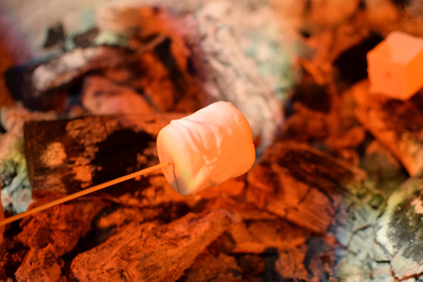 Toasting marshmallow