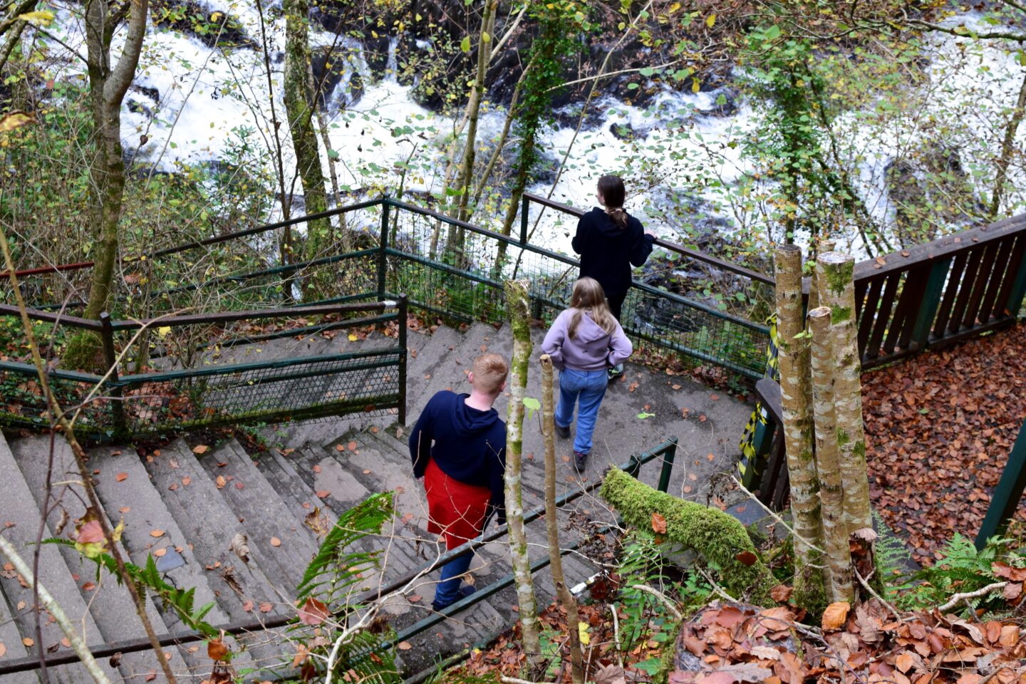 Steps at Swallow Falls
