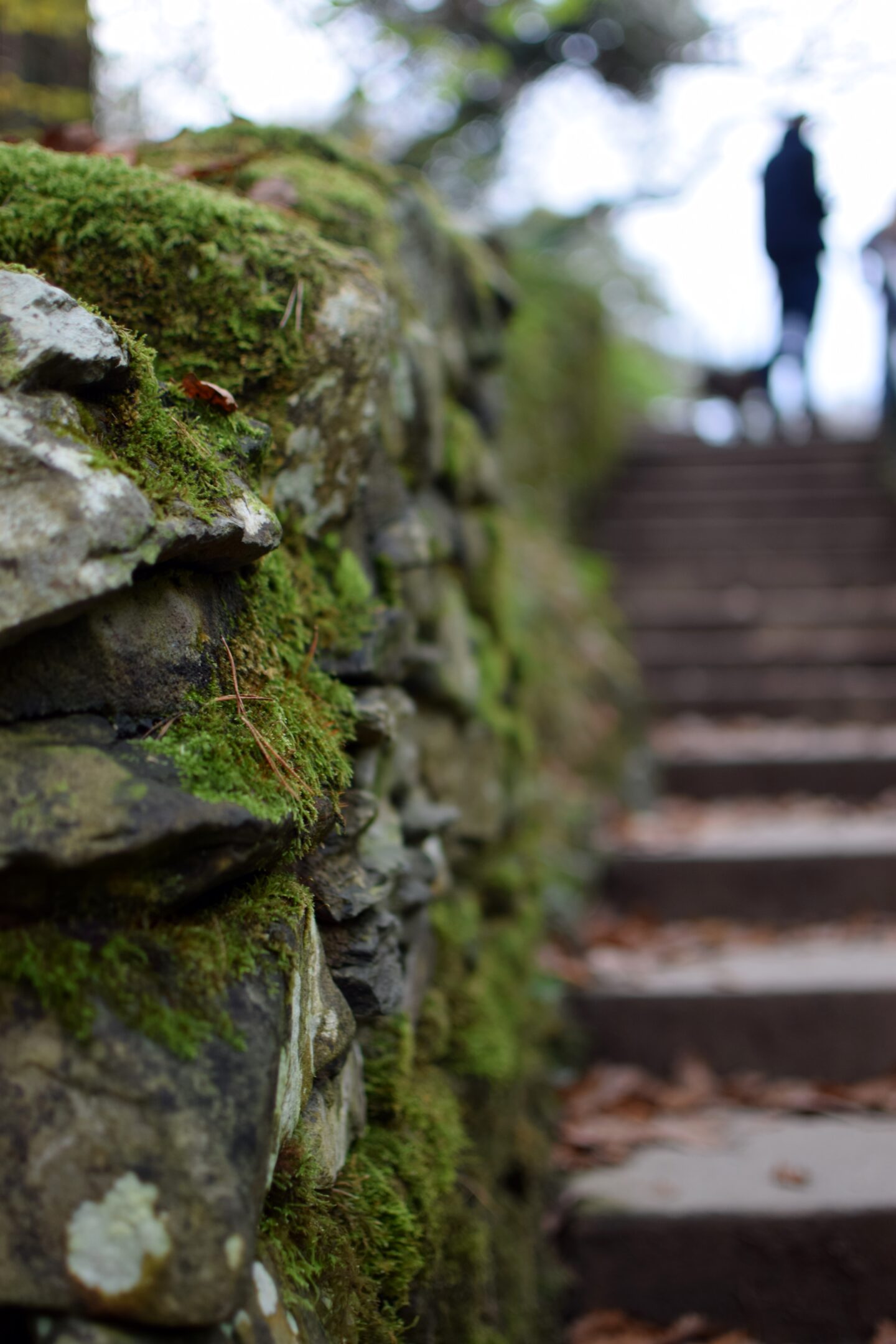 Steps and mossy walls at Swallow Falls