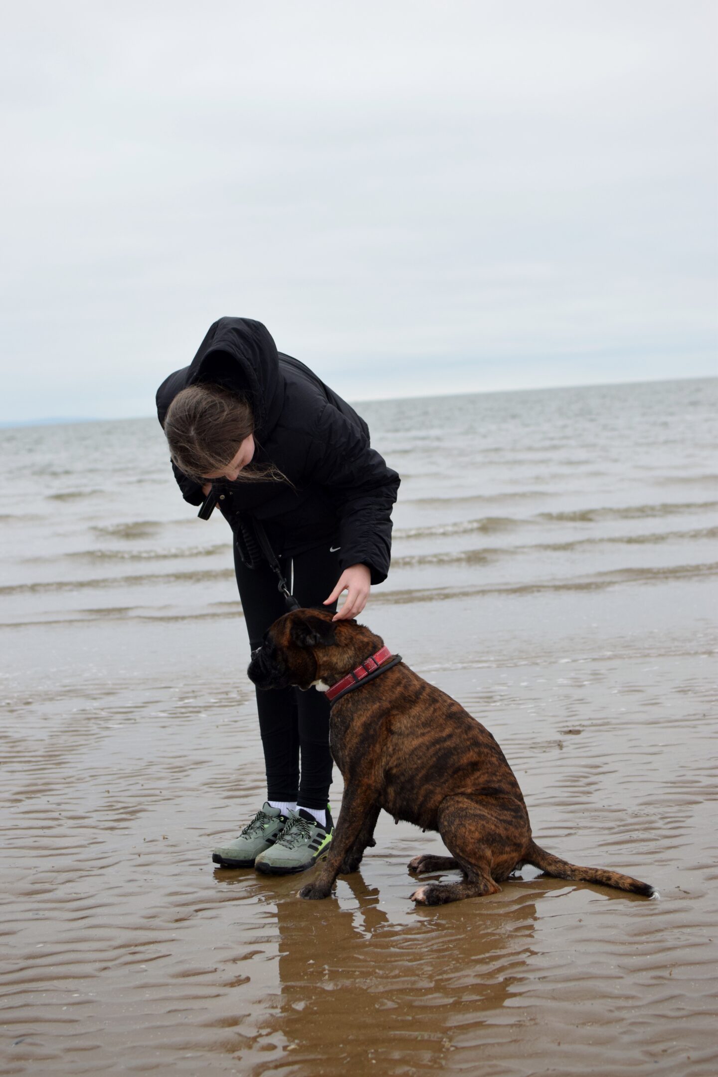 Chloe and Poppy on Conwy Morfa Beach - dog friendly all year round