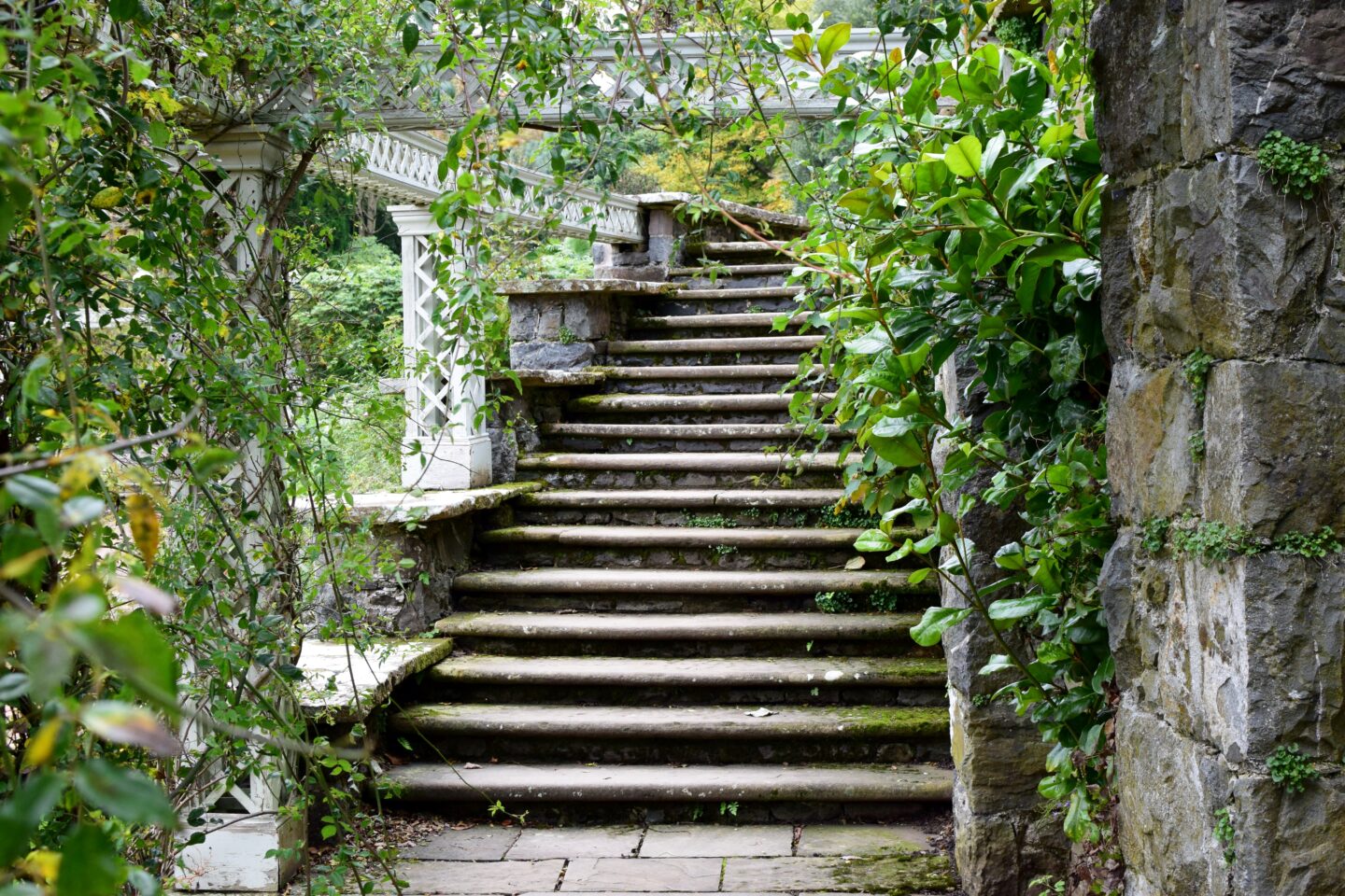 Steps in Bodnant Garden