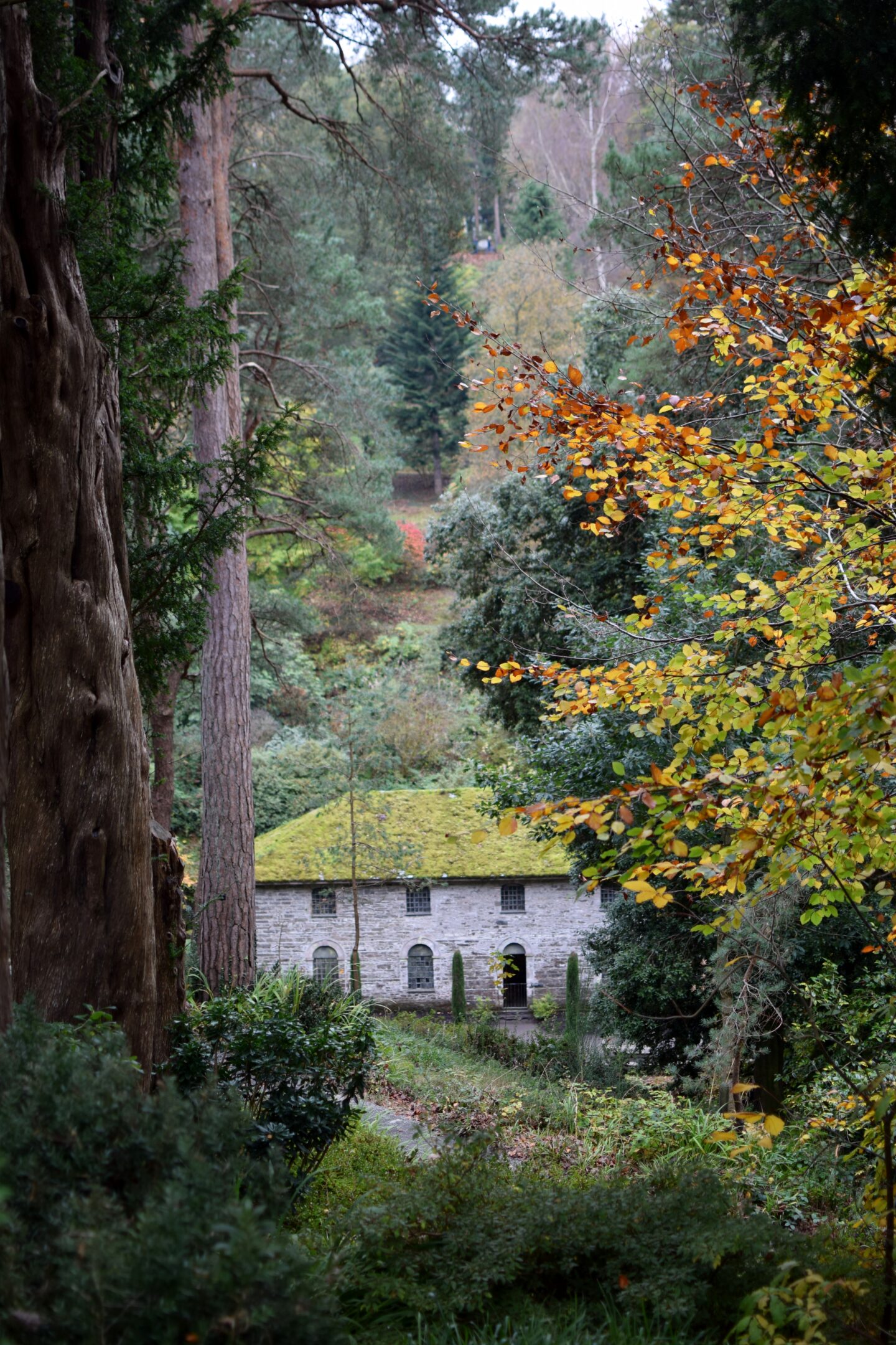 Autumn colours in Bodnant Garden