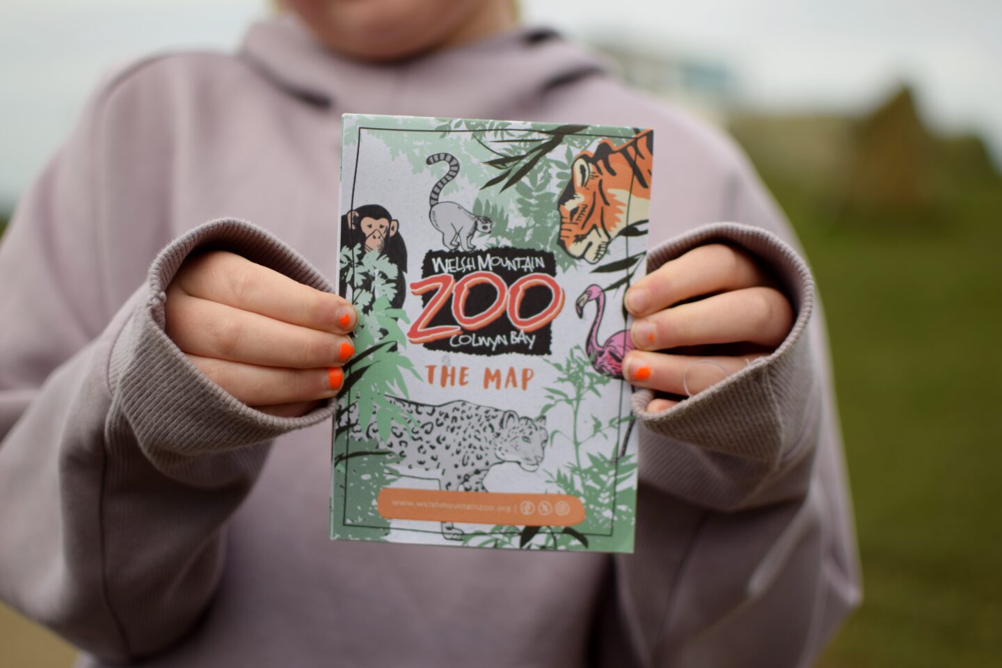 Welsh Mountain Zoo